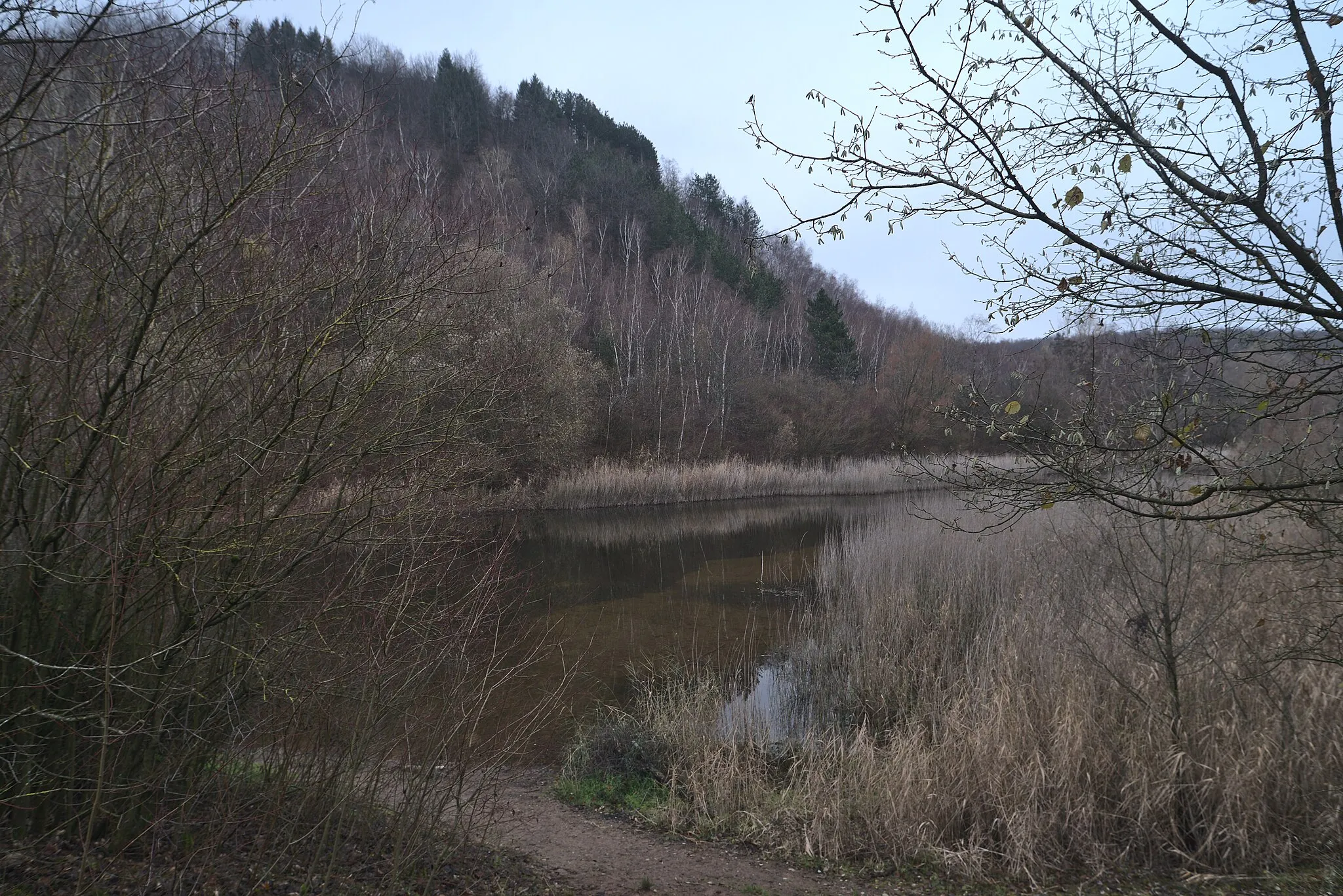 Photo showing: Blick auf eine Flanke der Bergehalde Viktoria in Püttlingen und einen Teich davor.