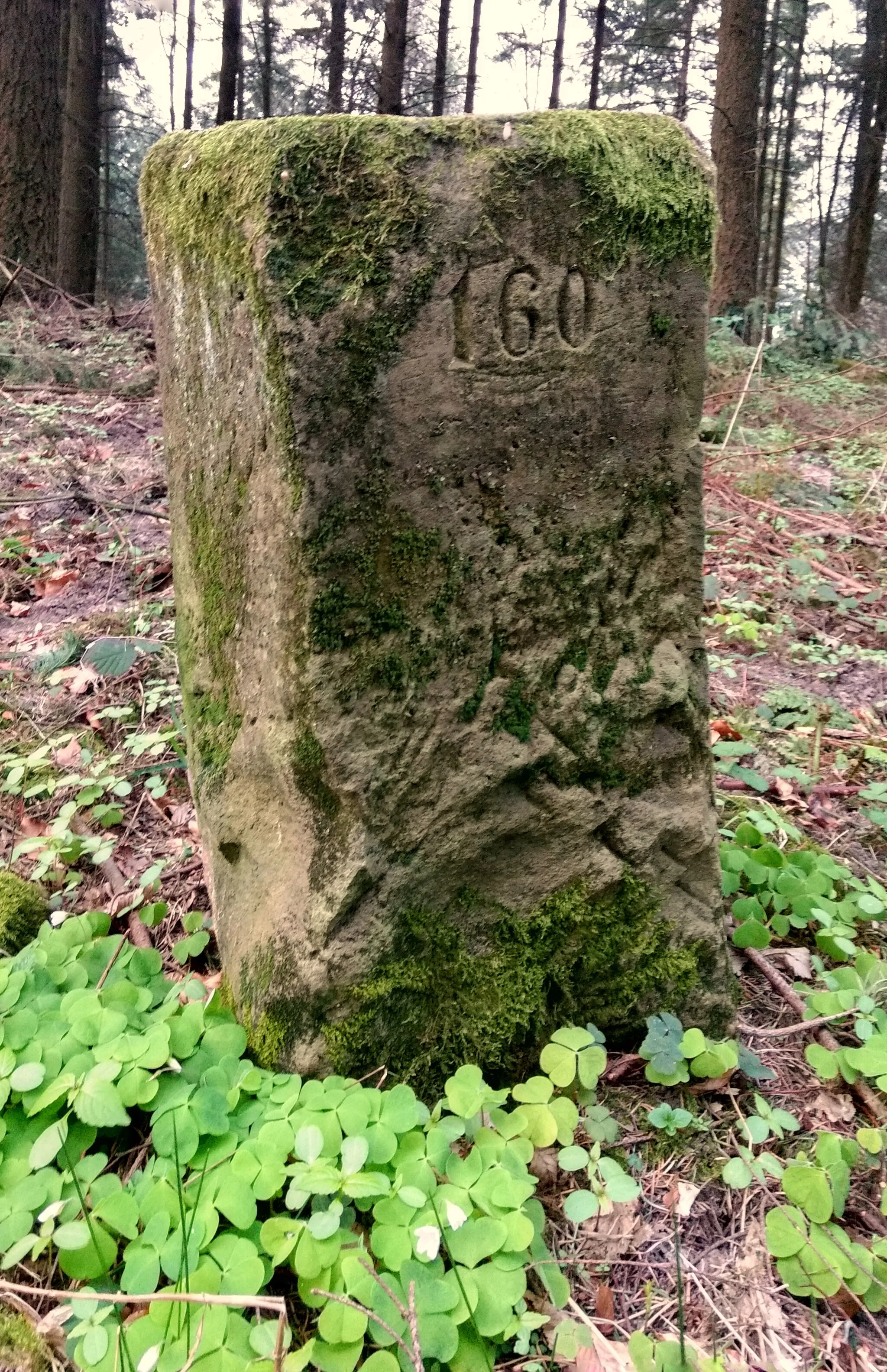 Photo showing: Stein auf dem Königsberg bei Itzbach