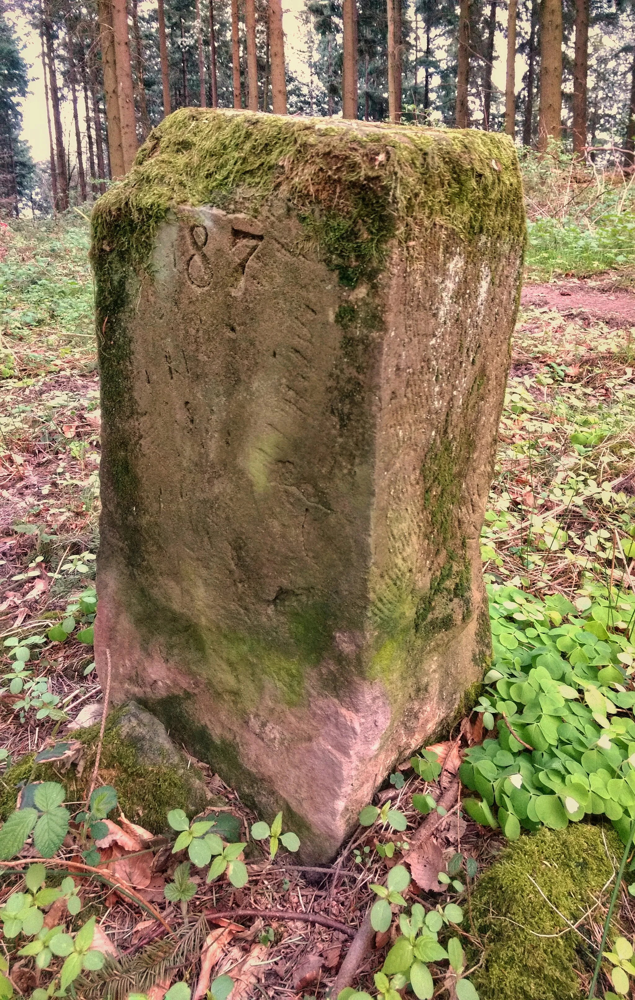 Photo showing: Stein auf dem Königsberg bei Itzbach