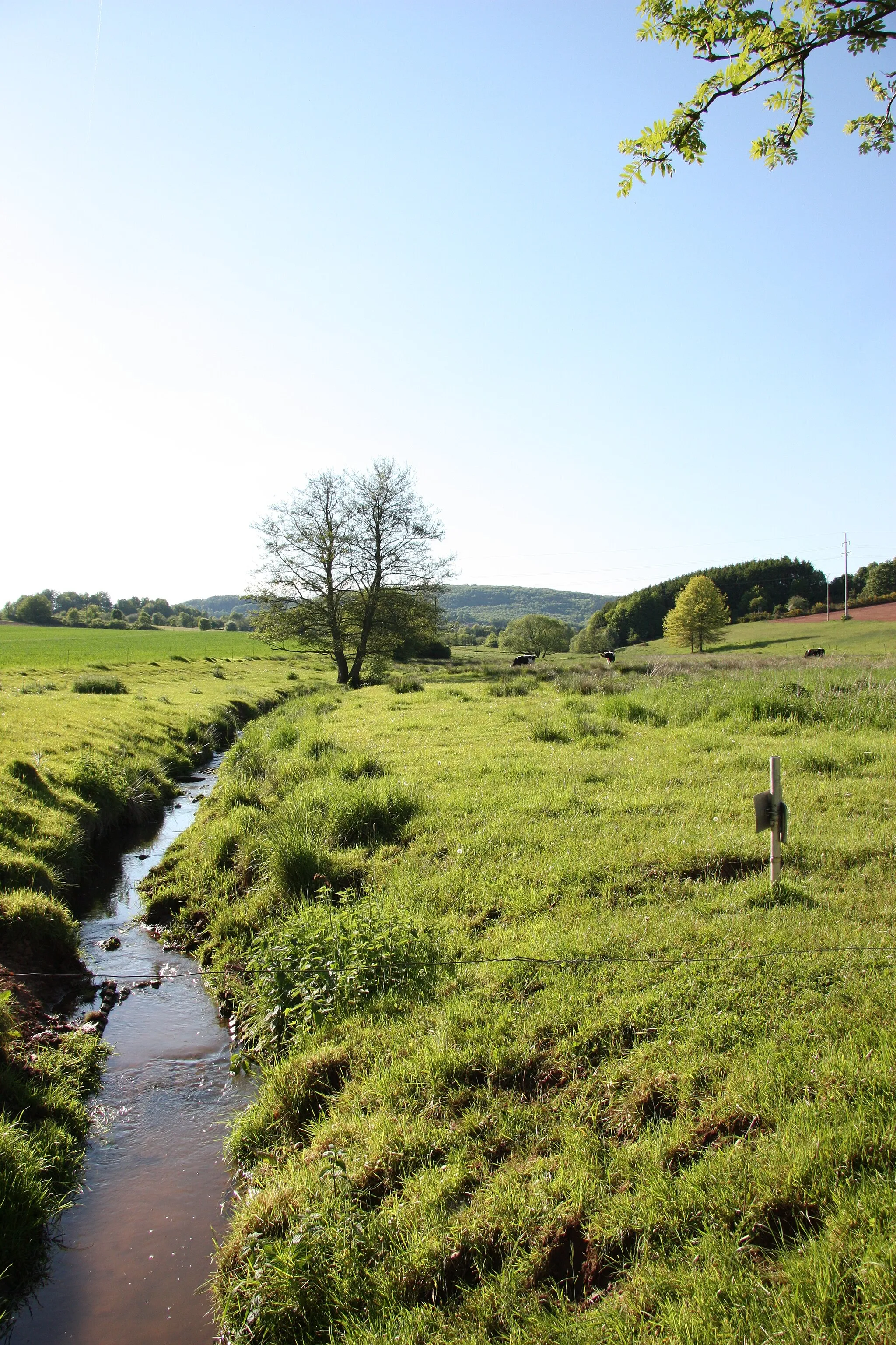 Photo showing: Das Gombach-Tal bei Güdesweiler.