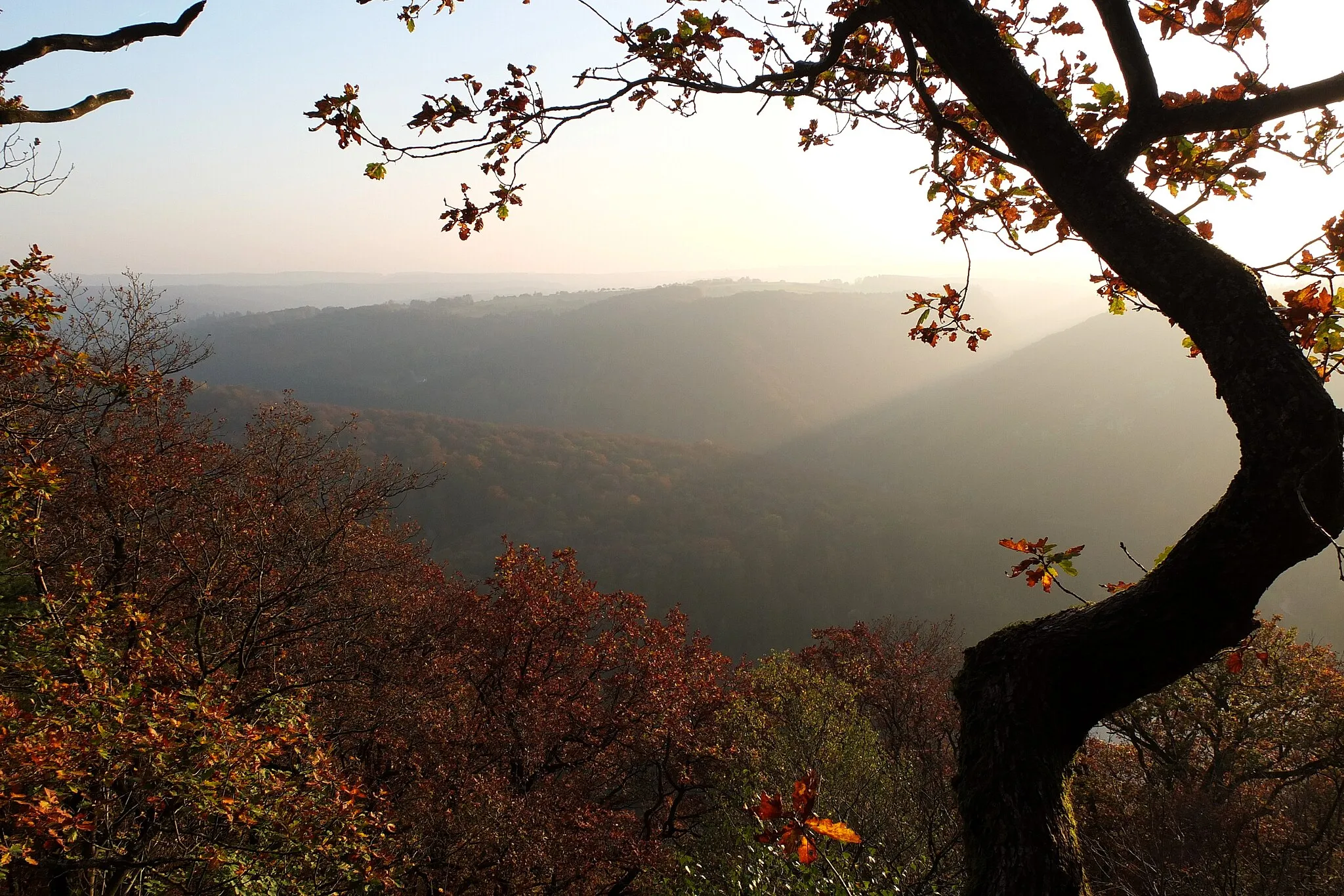 Photo showing: Die herbstlichen Saarsteilhänge über der Saarschleife im Abendlicht. Blickrichtung nach Südwesten.