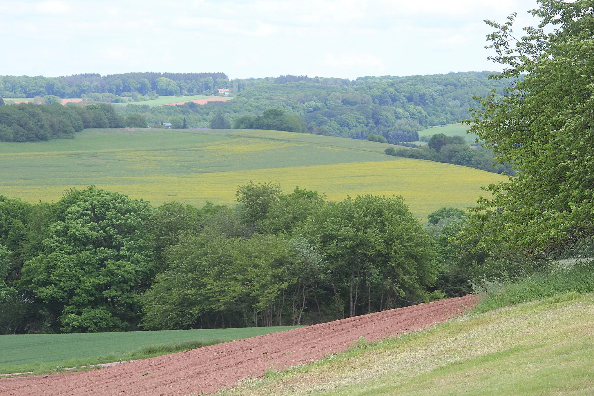 Photo showing: Heusweiler, view from farm Erdbeerland to north