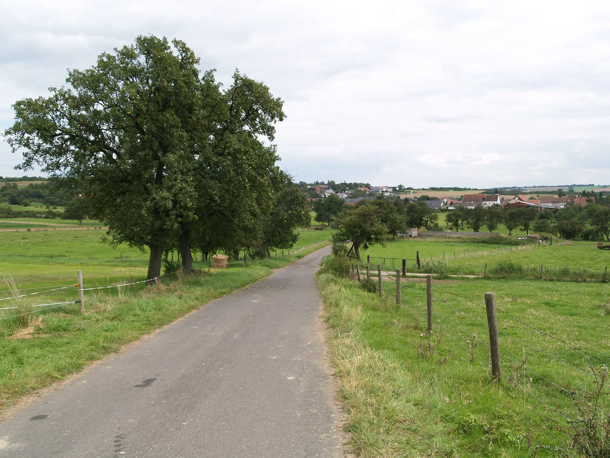 Photo showing: Kerlingen, Feldweg