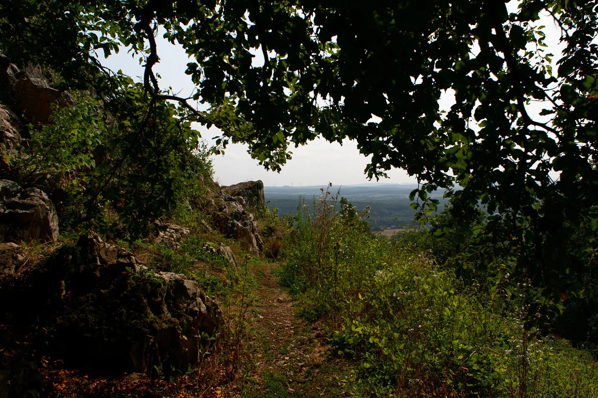 Photo showing: Der schmale Fußweg an dem Gipfel des Litermonts entlang.