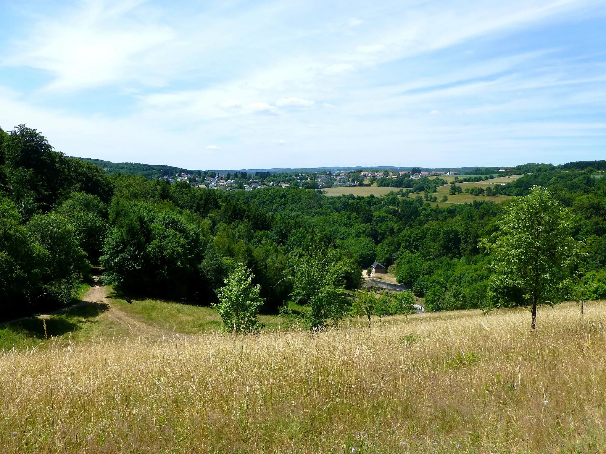 Photo showing: Nonnweiler – von der Dammkrone aus gesehen