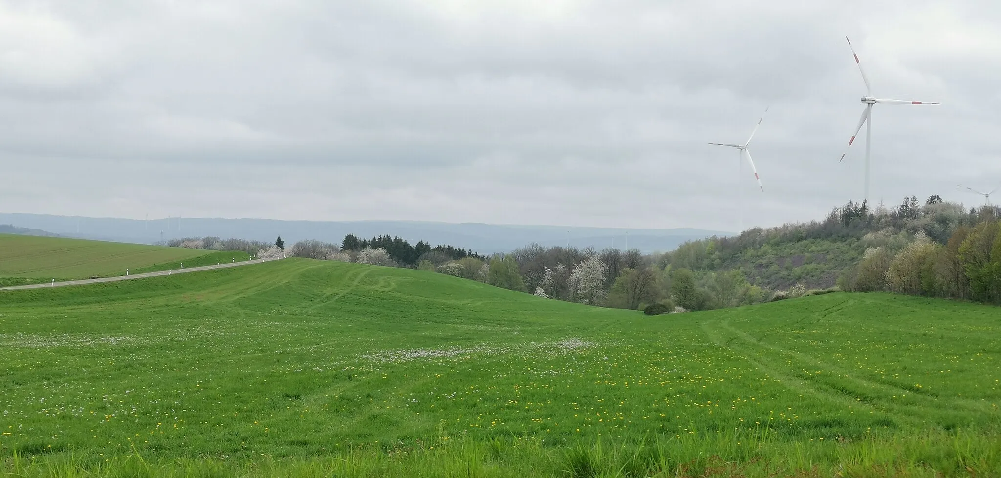 Photo showing: Geopark Saar-Hünsrück bei Hahnweiler