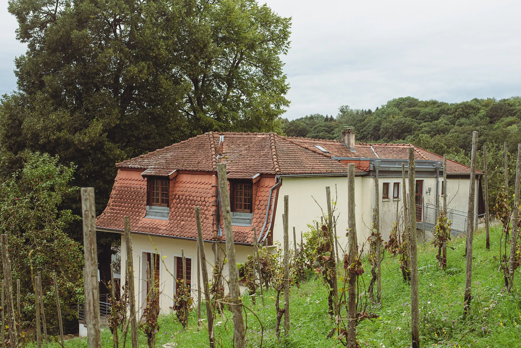 Photo showing: Das Haus Lochfeld von der Rückseite. Davor befinden sich Weinreben.