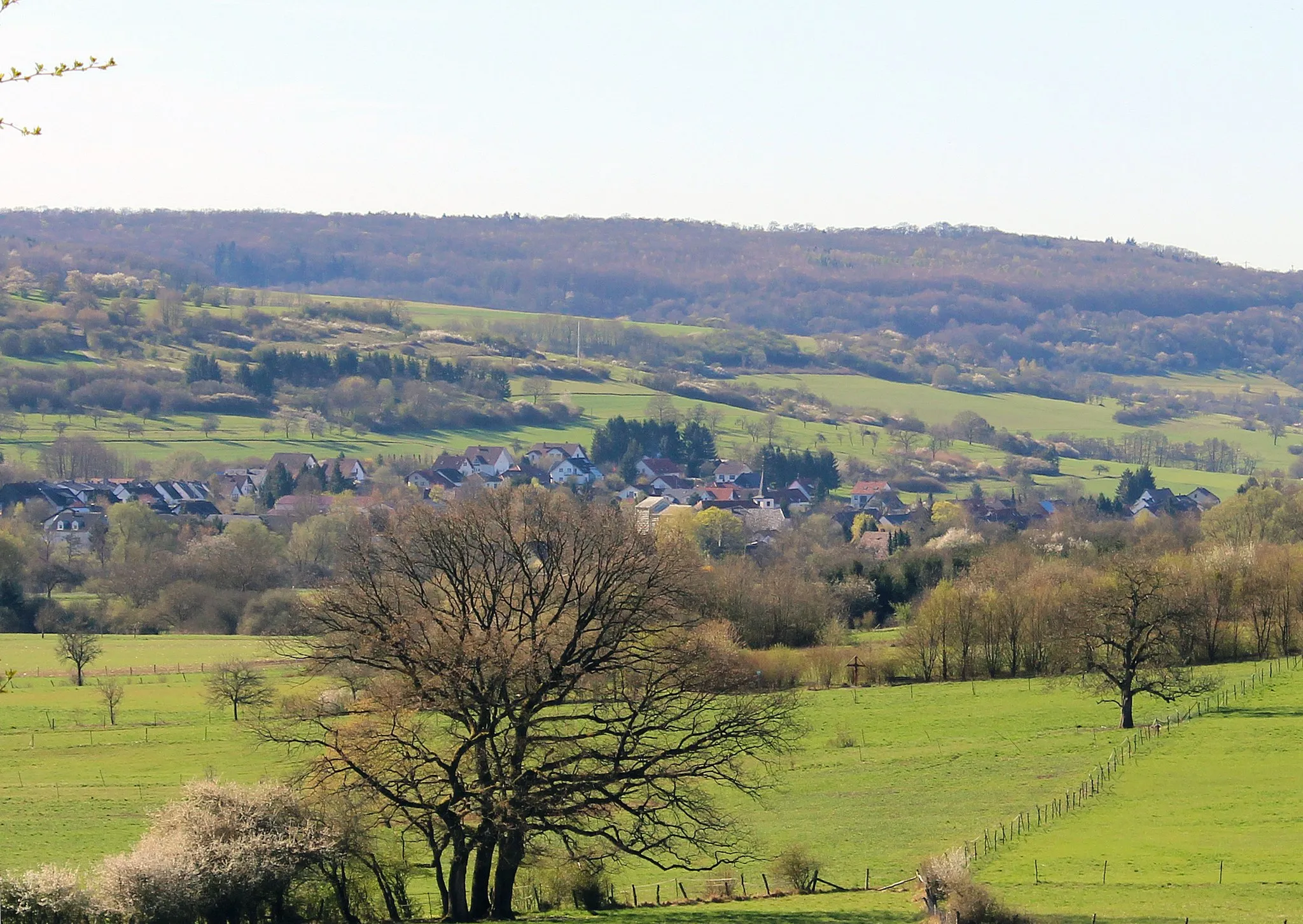 Photo showing: Ansicht von Wittersheim, Gemeinde Mandelbachtal, Saarpfalz-Kreis, Saarland