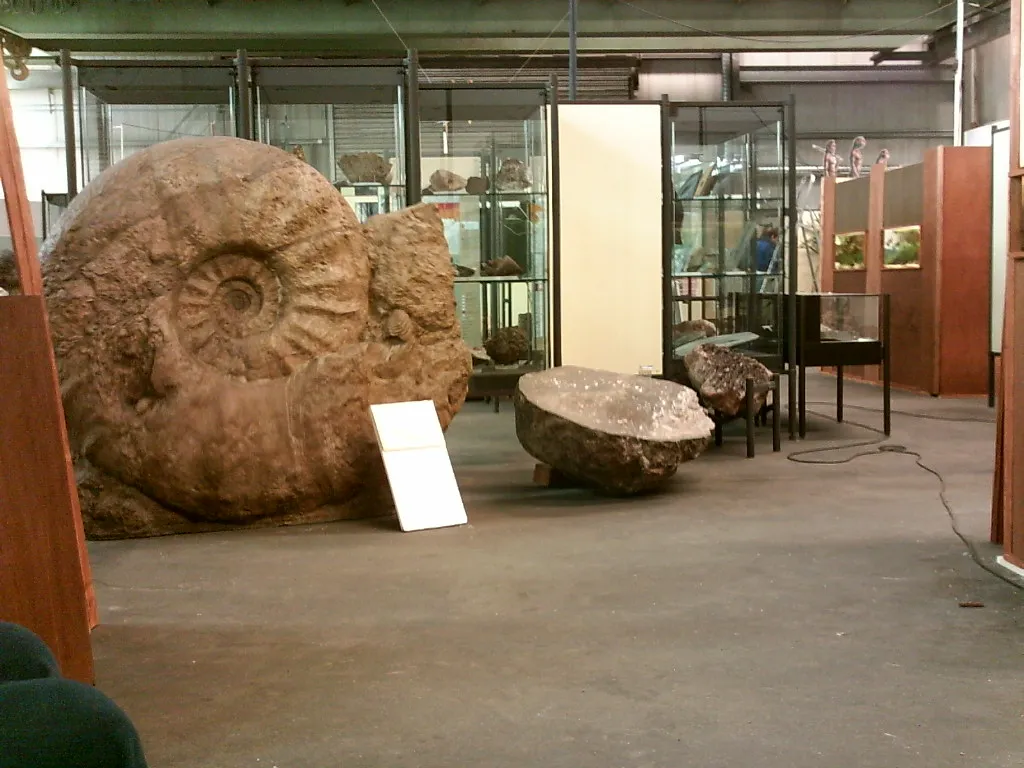 Photo showing: Parapuzosia seppenradensis (Replica).
Largest, complete Ammonite of the world, known so far. There are replicas in the town, where it was found (Seppenrade, near Münster, North Germany) and in well known museums around the world.
The original is in Westfälisches Landesmuseum, Münster.