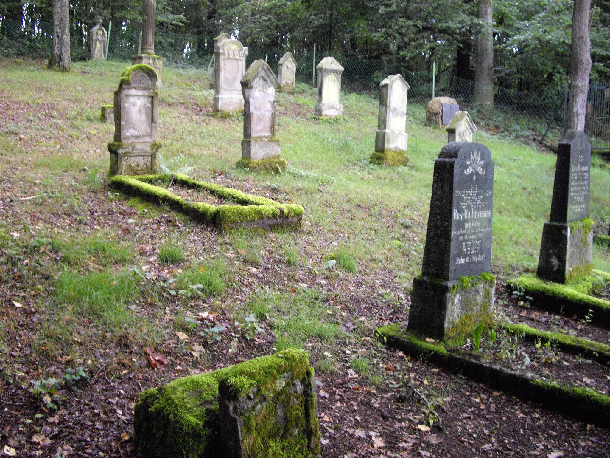 Photo showing: Friedhof der jüdischen Gemeinde Gonnesweiler