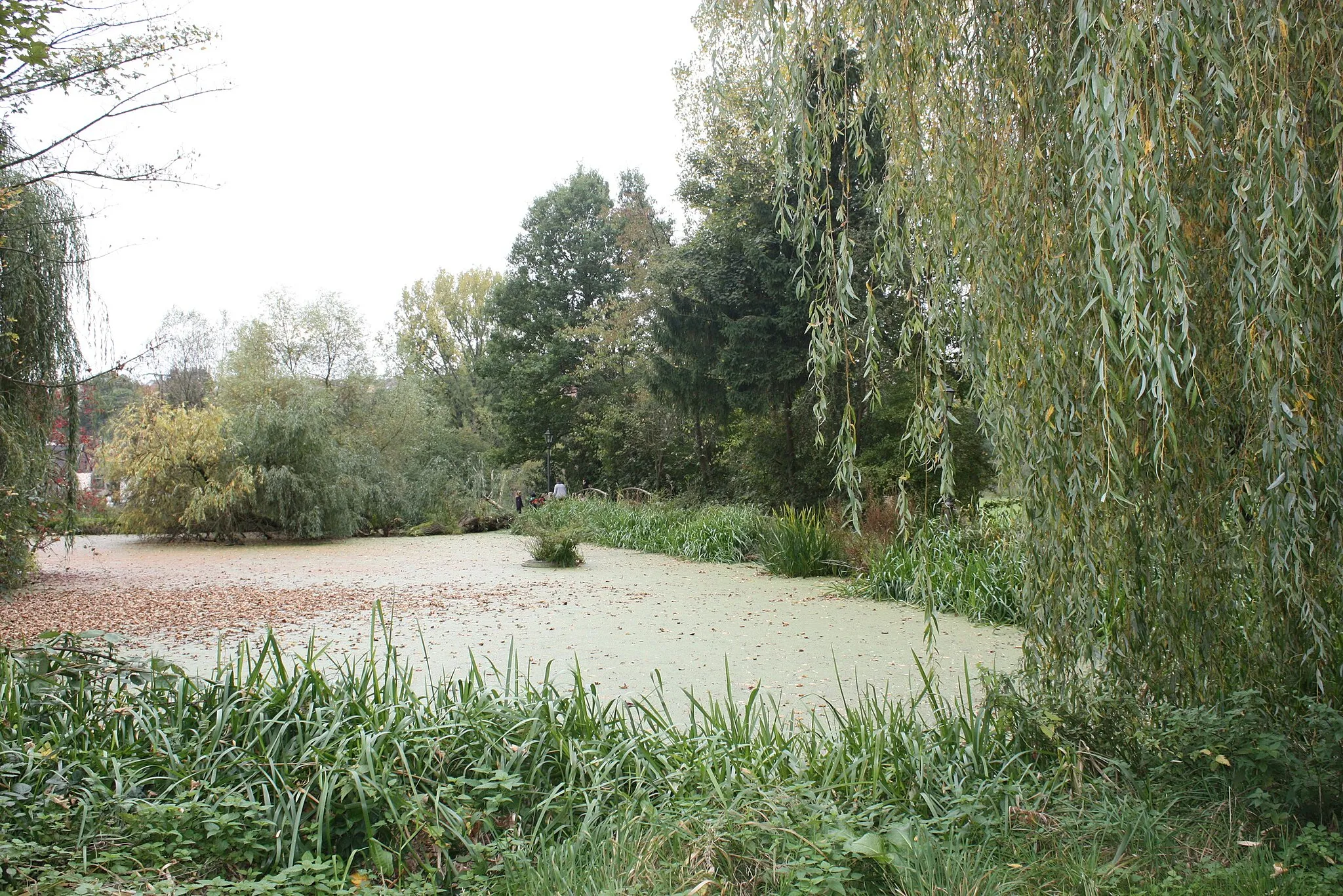 Photo showing: Bubach (Eppelborn), the château pond