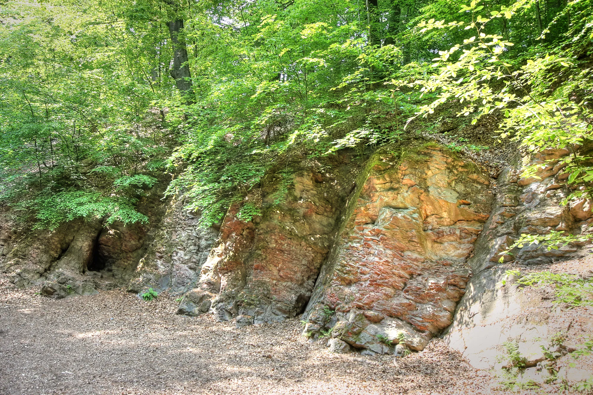 Photo showing: Brennender Berg nahe Dudweiler/Sulzbach, Felsöffnungen mit spürbarem Wärmeaustritt