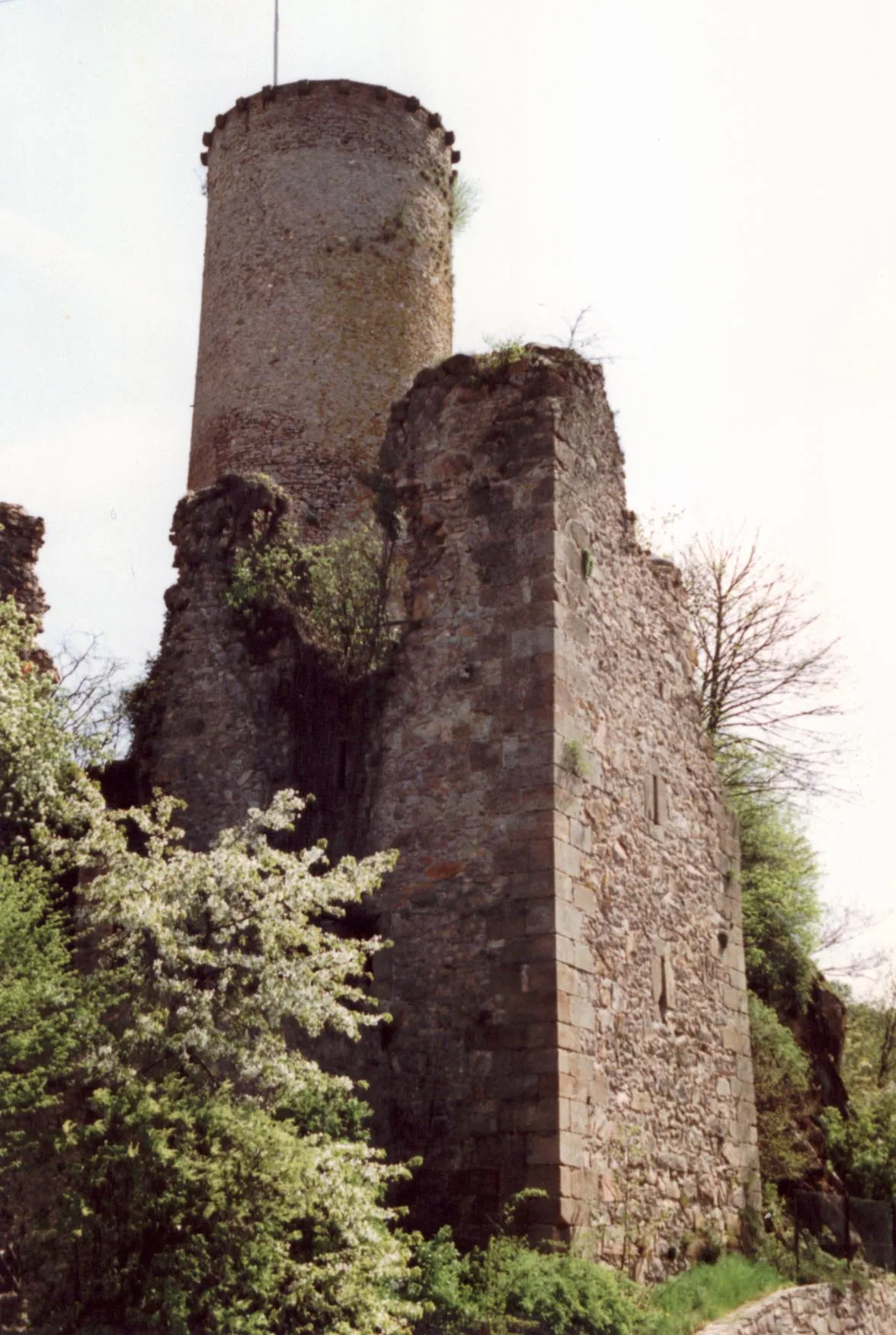 Photo showing: Burg Veldenz, Reste des Berings mit Bergfried