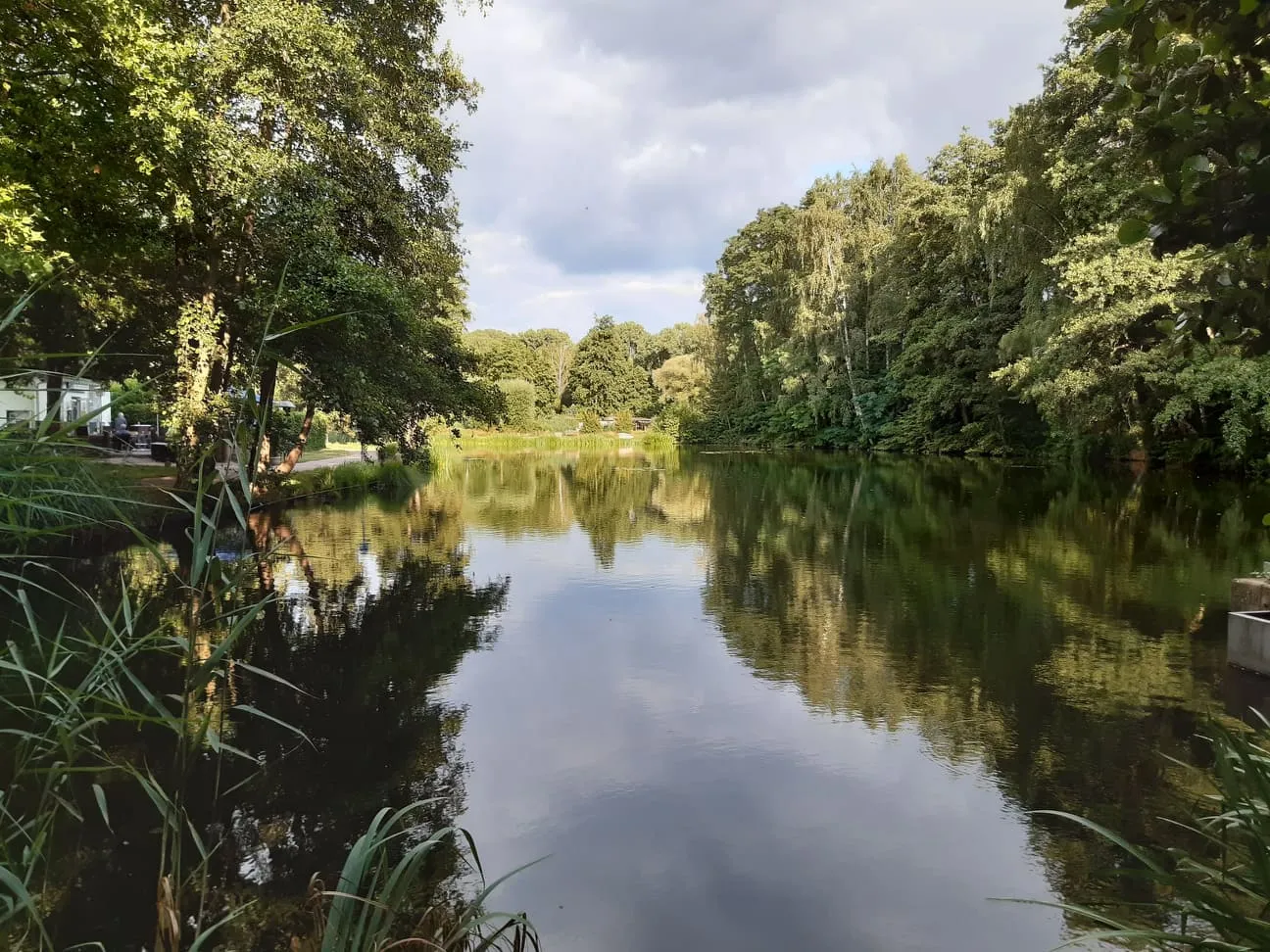 Photo showing: Fischweiher in Fraulautern-Kreuzberg