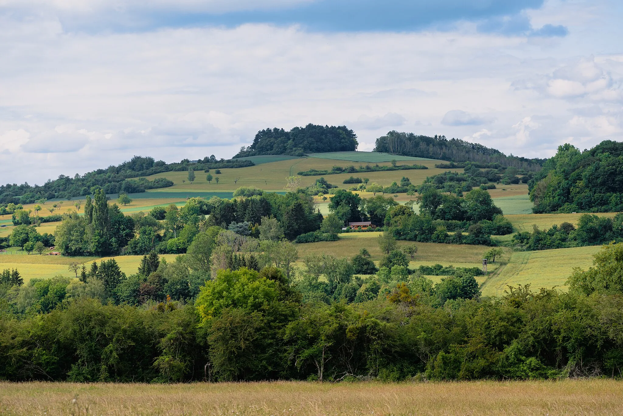 Photo showing: View on the Gebberg from a meadow in Bübingen. On the mountain is a wooden hut.