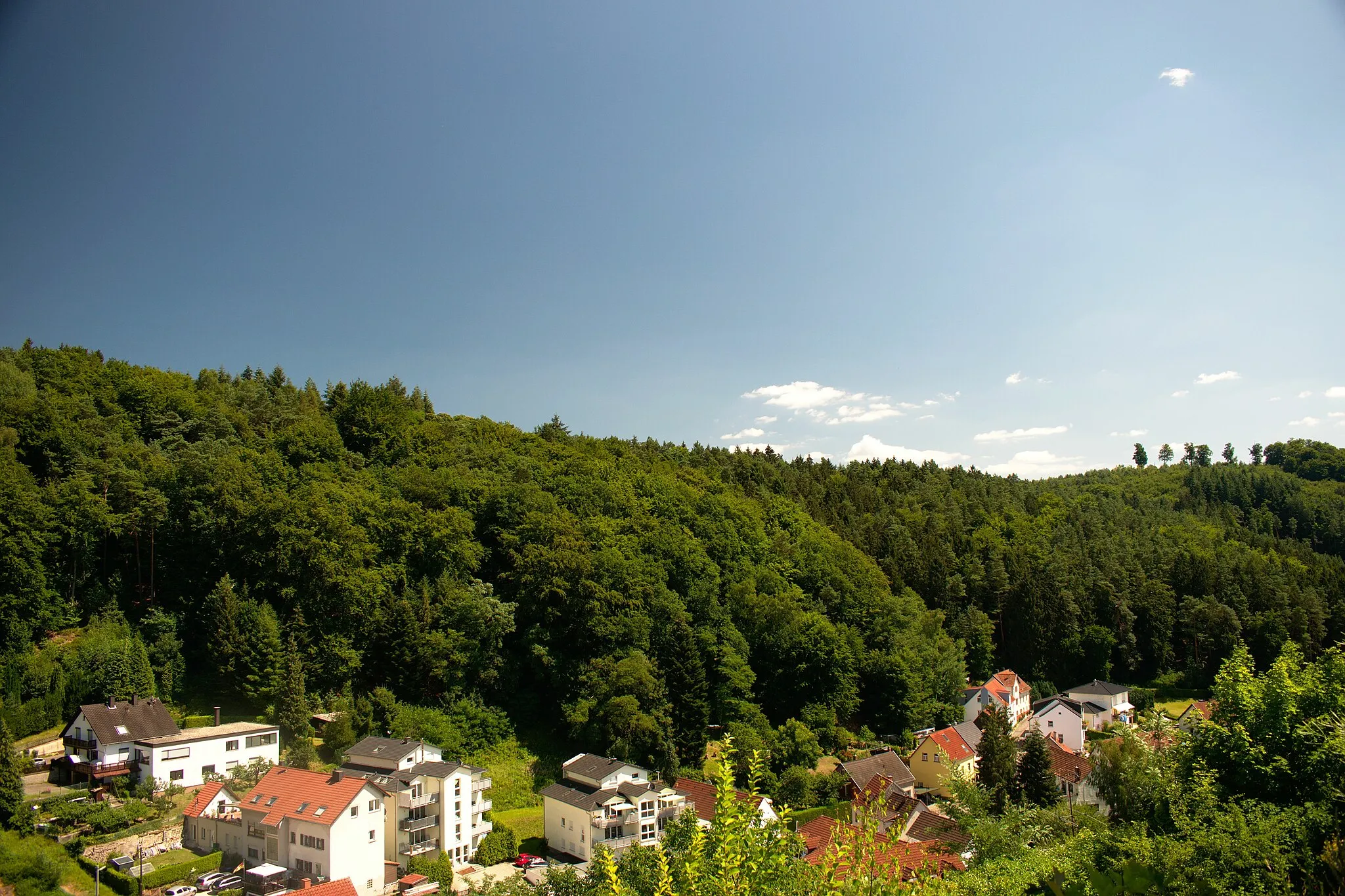 Photo showing: Aussicht von der Burg Kirkel.