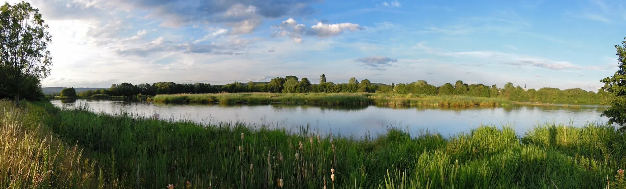 Photo showing: Blick über den Ökosee (Ausgleichsmaßnahme zur Saarkanalisierung) in Richtung Pachten