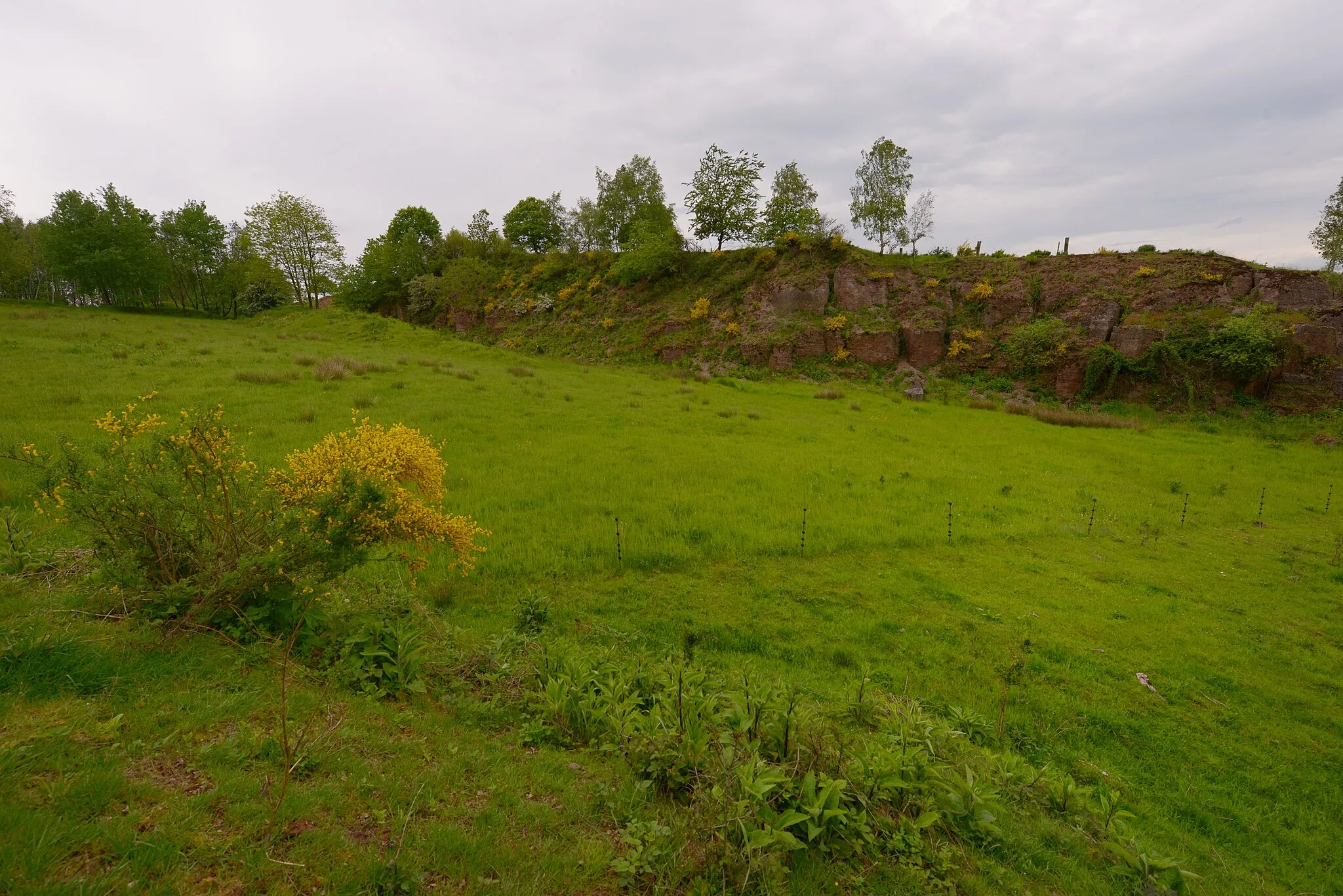 Photo showing: Westliche Grenze der ehemaligen Kiesgrube Hirzweiler (Ortsteil von Illingen) im Naturschutzgebiet "Täler der Ill und ihrer Nebenbäche".
