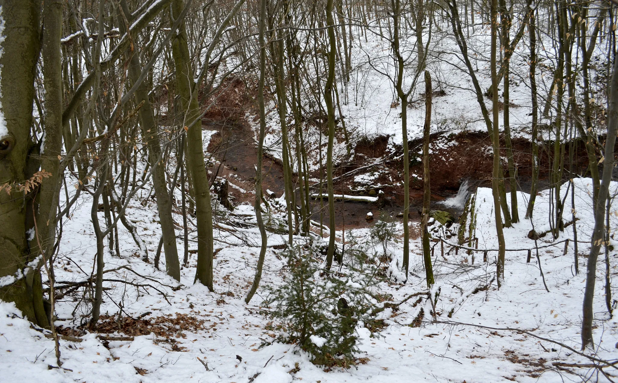 Photo showing: Der Mühlenbach an seinem oberen Lauf in einer Schlucht; Teil des Premiumwanderweges Mühlenbach Schluchtentour