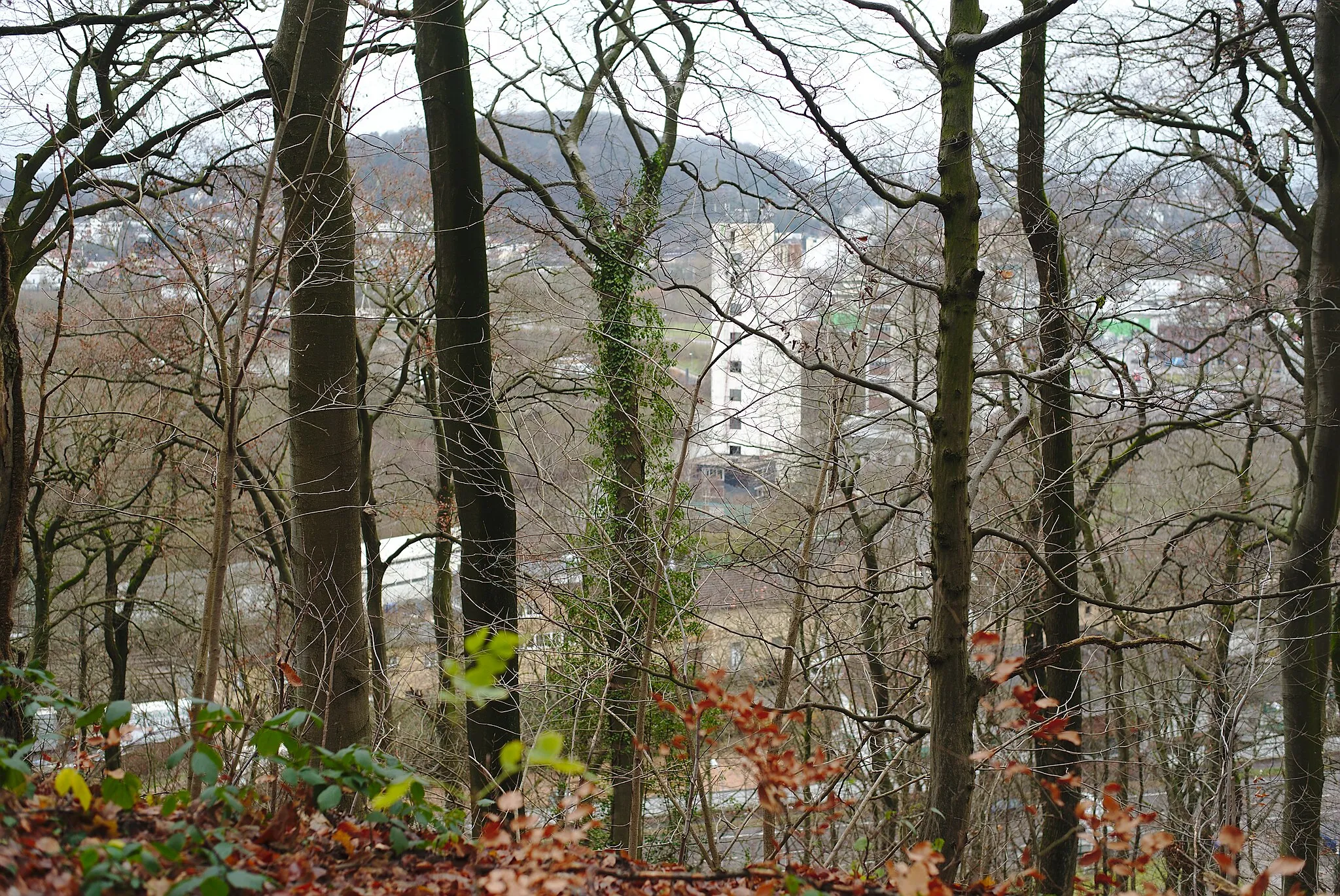 Photo showing: Aussicht auf das Saartal mit dem Silodom, welches heute eine Diskothek beherbergt.