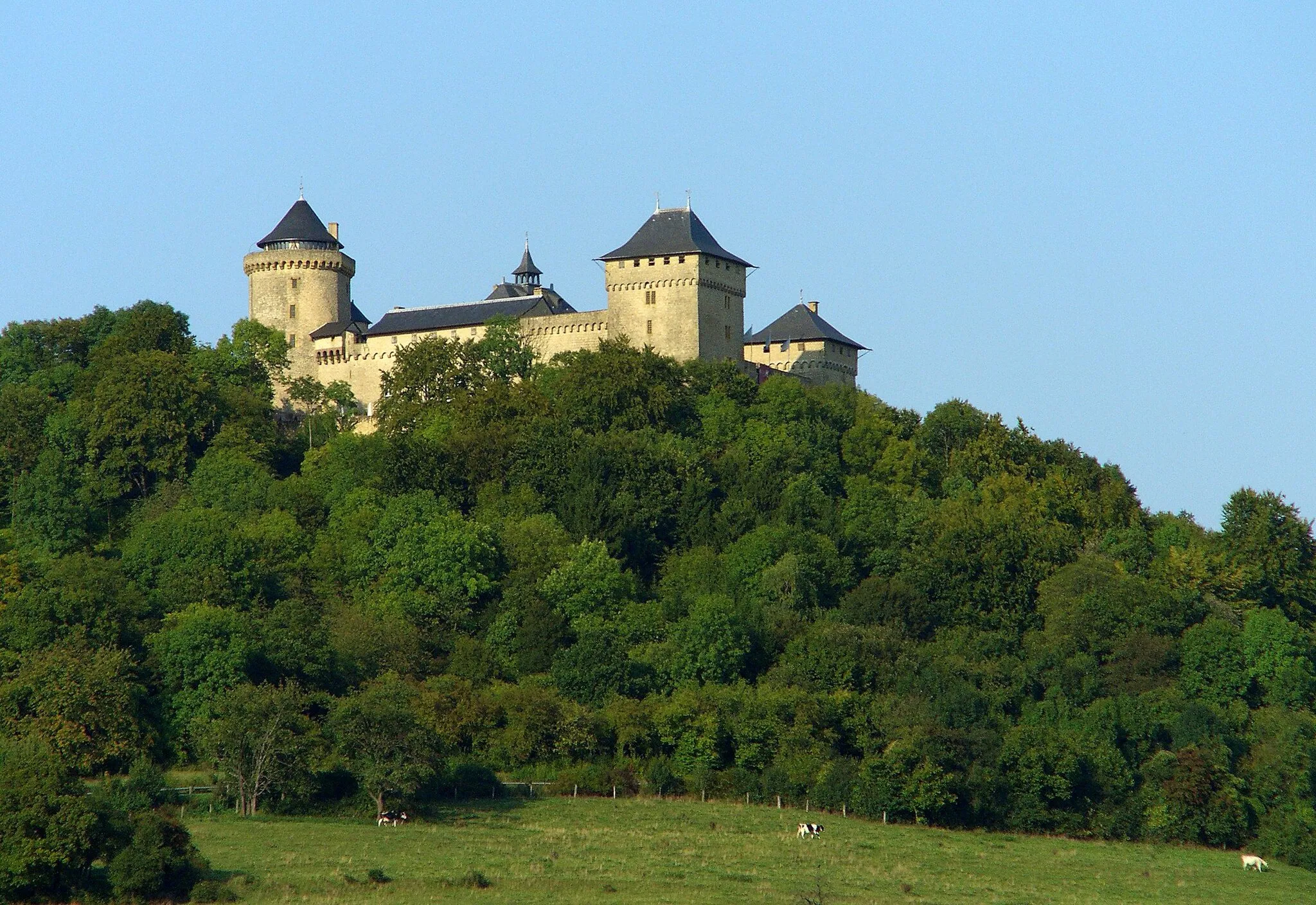 Photo showing: Château de Malbrouck