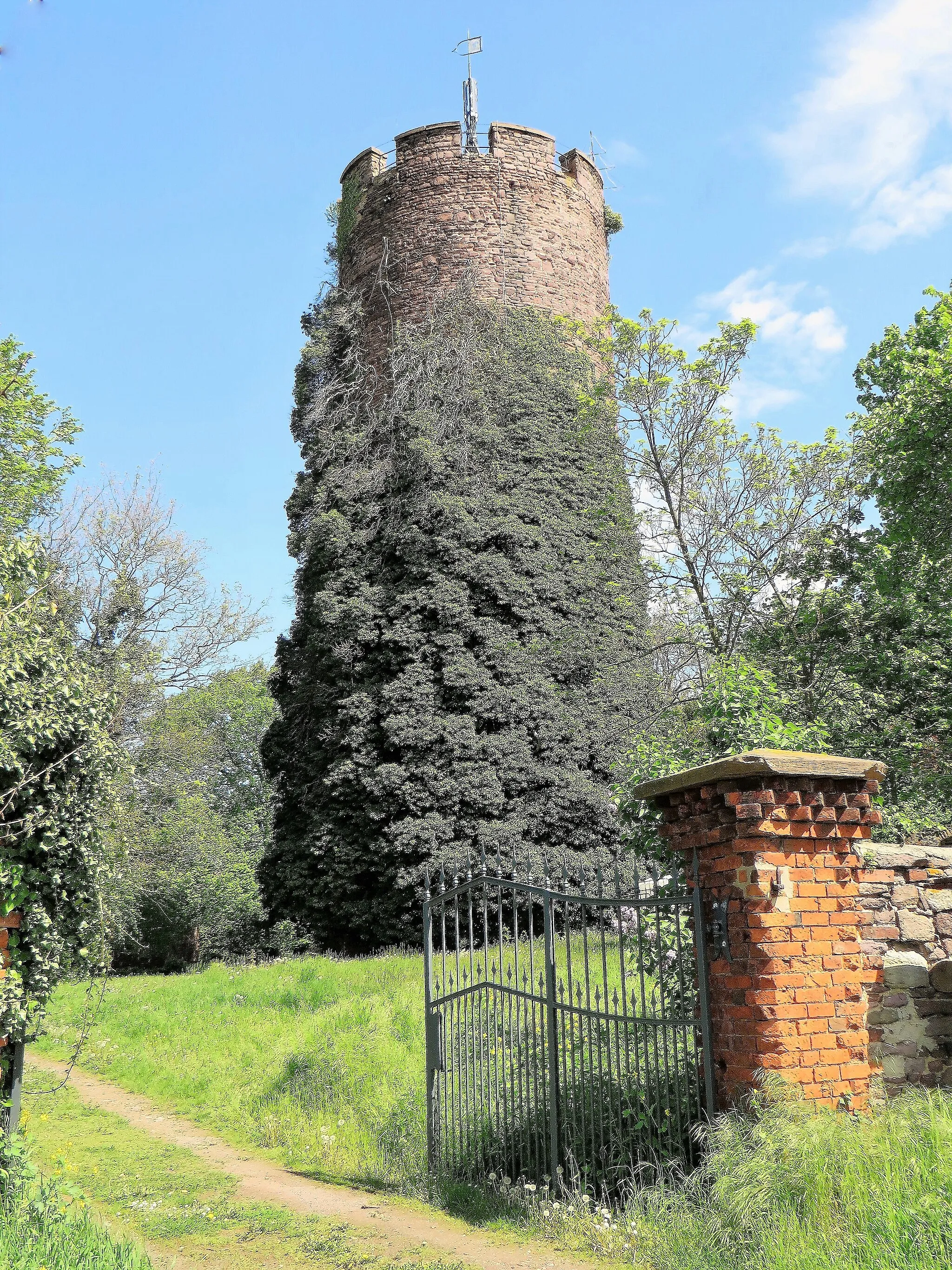 Photo showing: Bergfried der ehemaligen Bischofsburg in Alvensleben (Bebertal I), zeitweise Miteigentum oder Pfandbesitz der von Berwinkel. In der Nähe der Bischofsburg befand sich deren Schutzburg, die Ritterburg, um  1260 bis Ende des 15. Jahrhunderts in Besitz der Familie von Berwinkel. – Die Bischofsburg bestand über 600 Jahre bis die baufälligen Gebäude um 1700 allmählich abgetragen wurden. Geblieben ist nur der efeubekränzte 30 m hohe Bergfried, später im Volksmund „Landratsturm“ genannt, heute in Privatbesitz. – „Dort droben auf jenem Berge · Da schaut ihr die Warte der Burg: – Noch trotzet ihr festes Gemäuer · Dem nagenden Zahne der Zeit“.