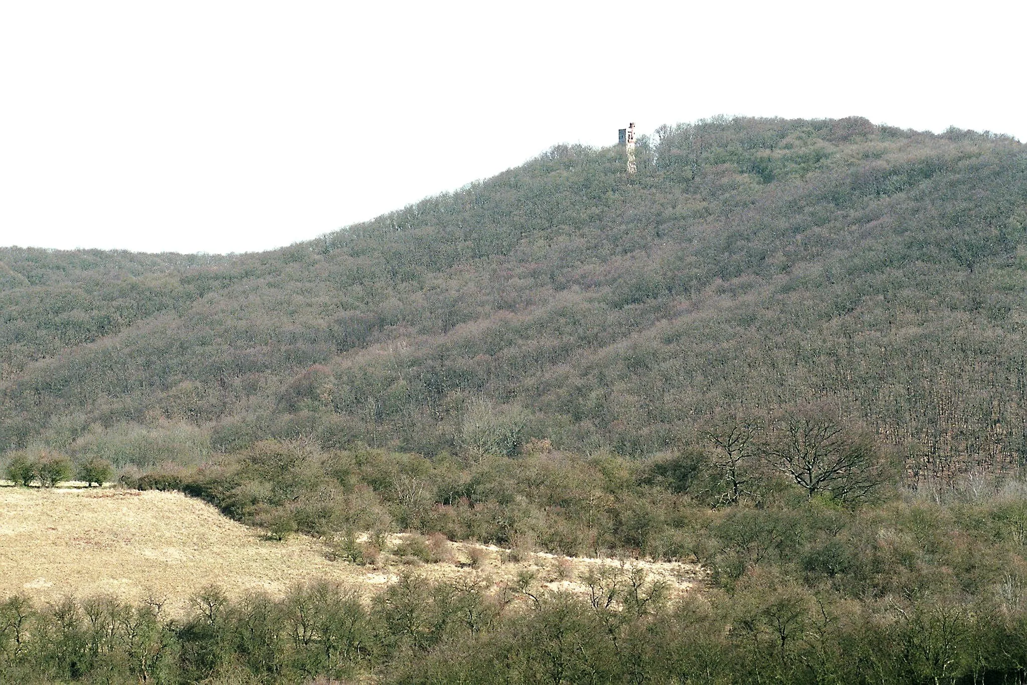 Photo showing: Lengefeld (Sangerhausen), view to the Moltke Watchtower