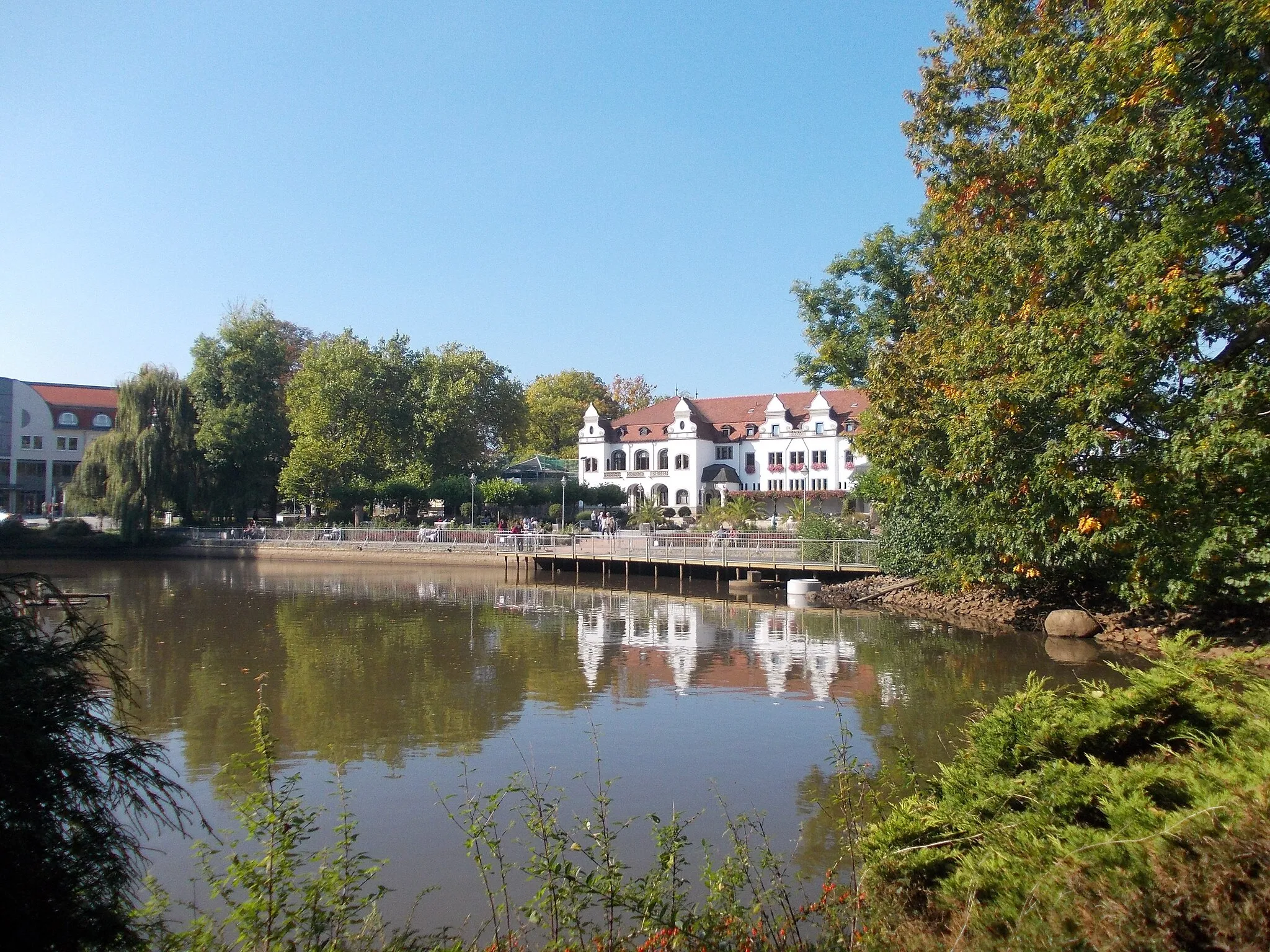 Photo showing: Swan Pond in Bad Schmiedeberg (Wittenberg district, Saxony-Anhalt)