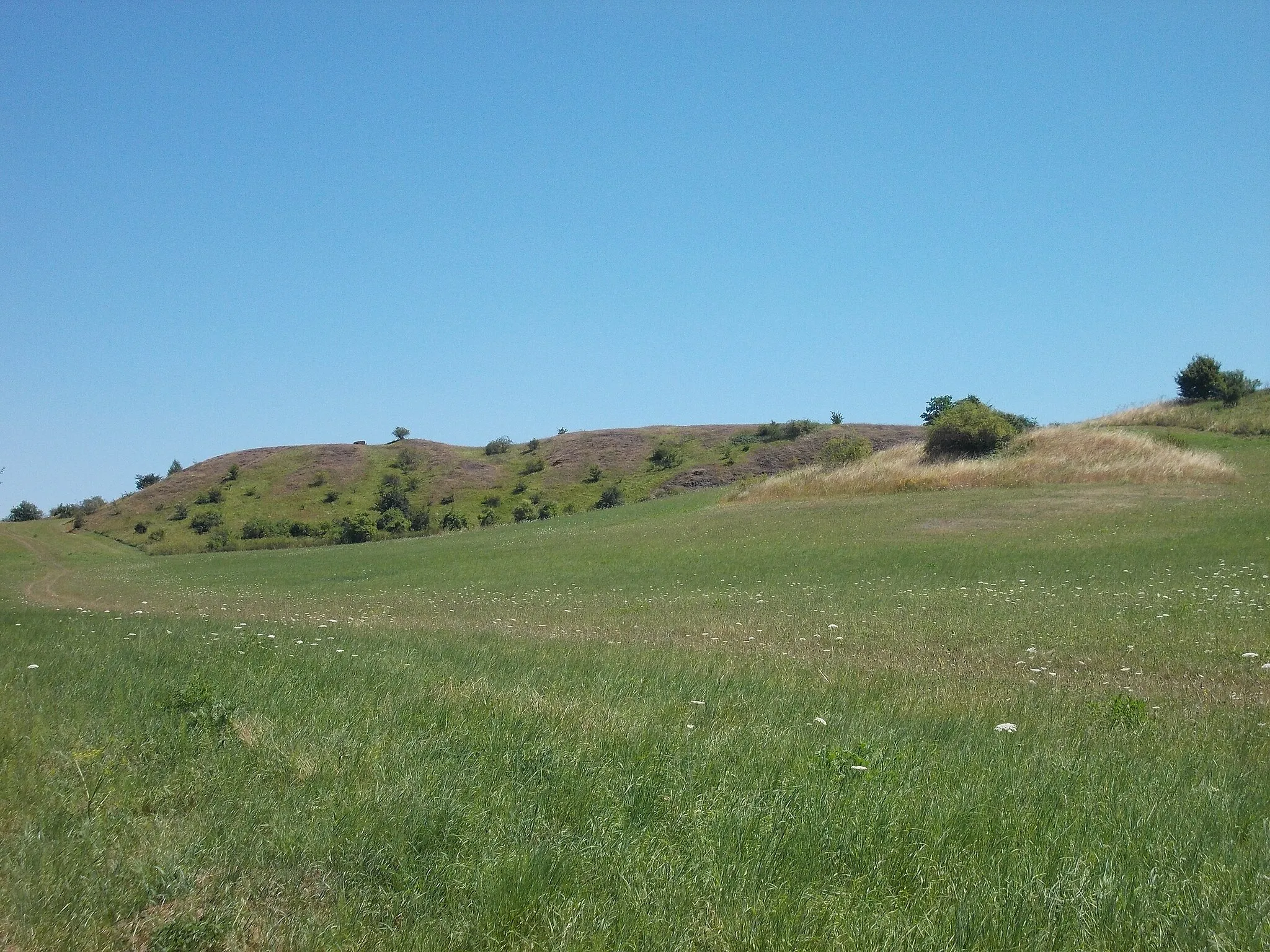 Photo showing: Lunzberge nature reserve near Lettin (Halle/Saale, Saxony-Anhalt)