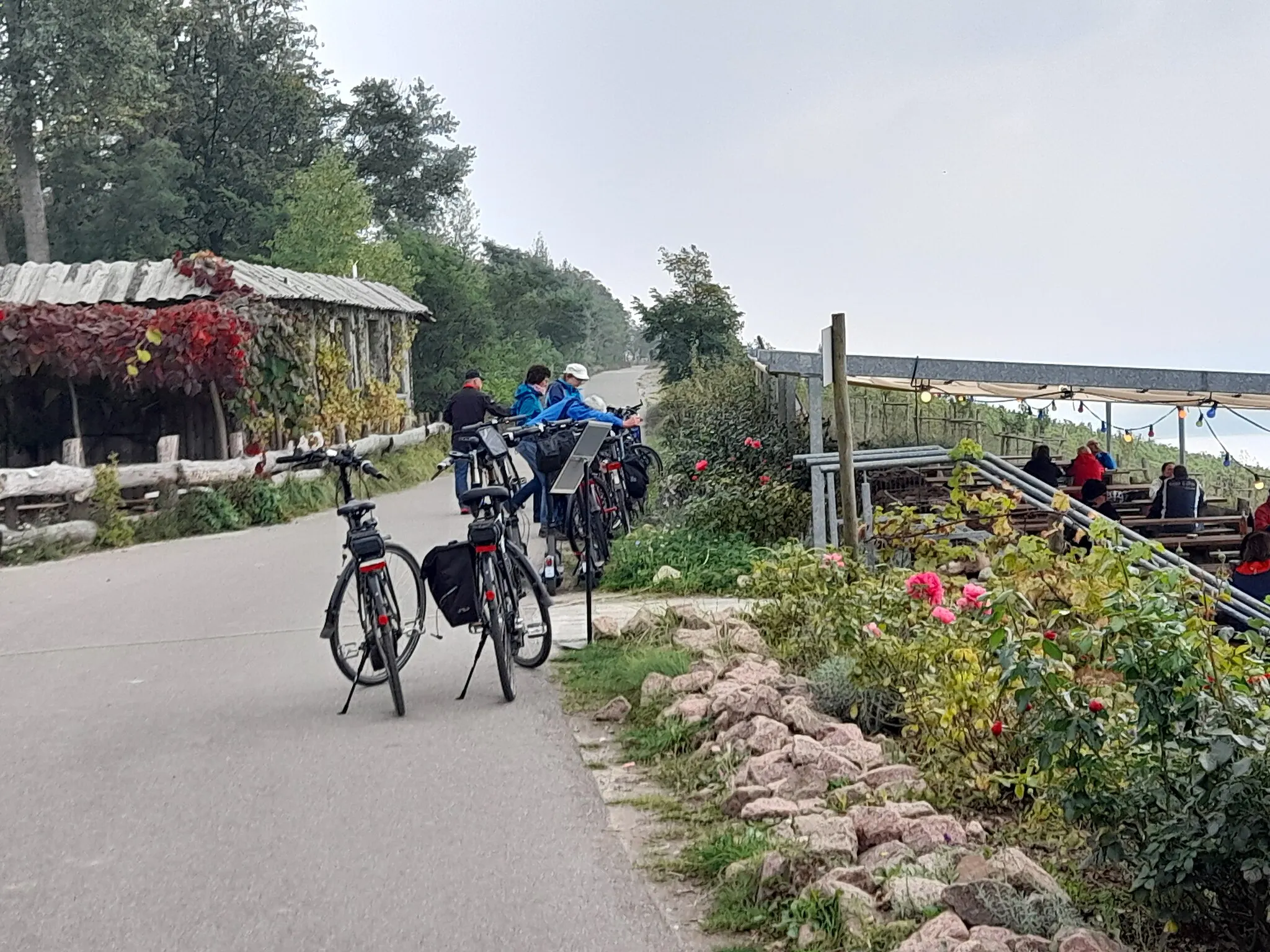 Photo showing: Weinberg am Geiseltalsee, Straußwirtschaft