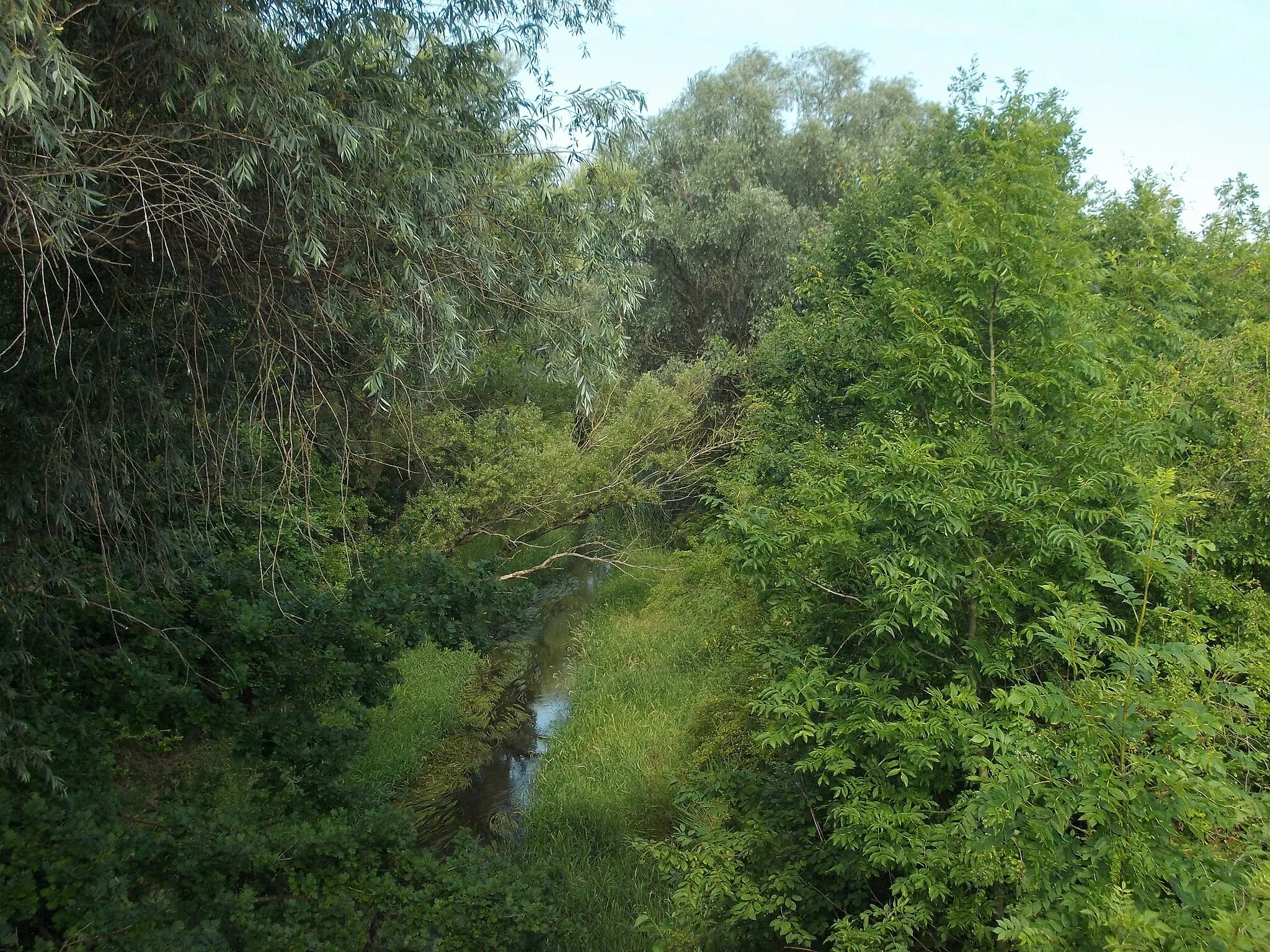 Photo showing: Lober-Leine Canal near Laue (Delitzsch, Nordsachsen district, Saxony)