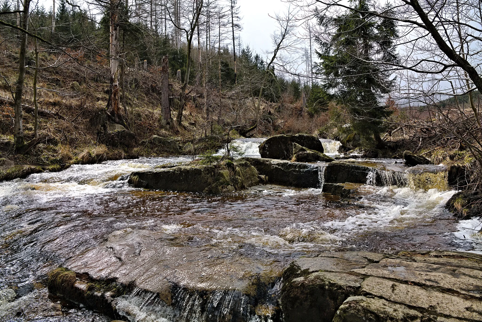 Photo showing: Ilsefälle in the Harz.