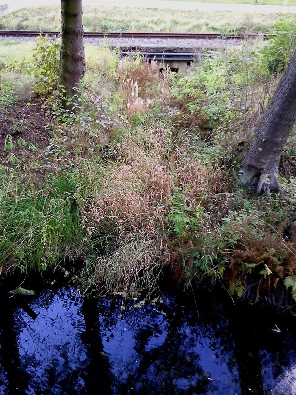 Photo showing: Mündung des Schwefelbachs in die Selke, im Hintergrund die Überquerung des Bachs durch die Selketalbahn