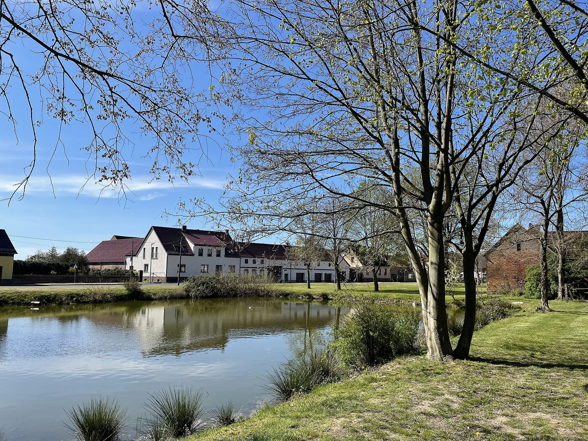 Photo showing: Hohenahlsdorf, Ortsteil der Gemeinde Niederer Fläming in Brandenburg