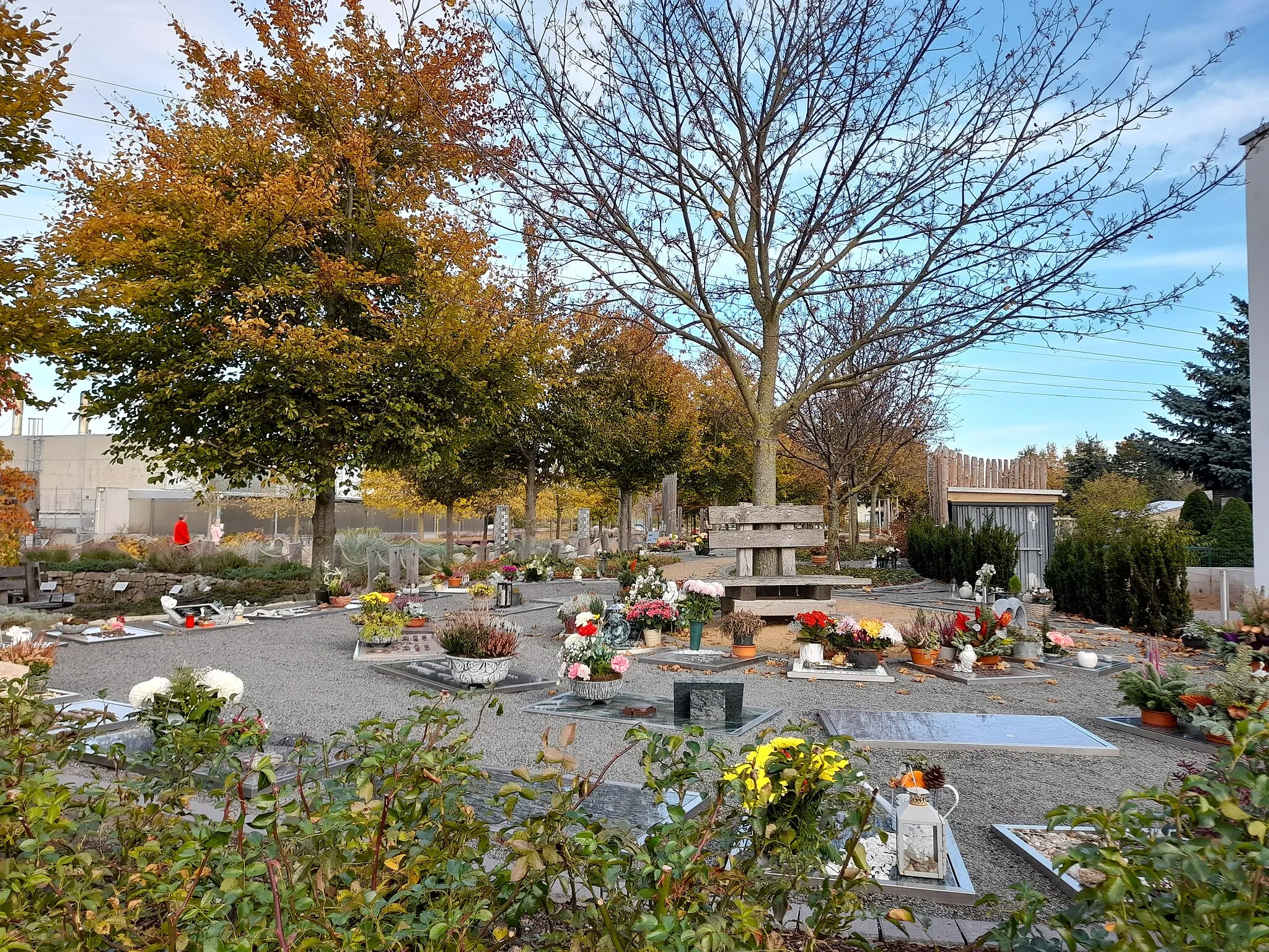 Photo showing: Friedgarten Mitteldeutschland in Osmünde