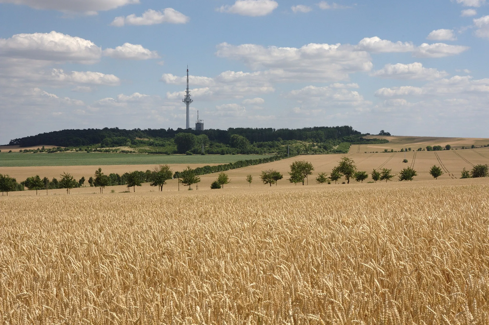 Photo showing: Frohser Berg between Magdeburg and Schoenebeck