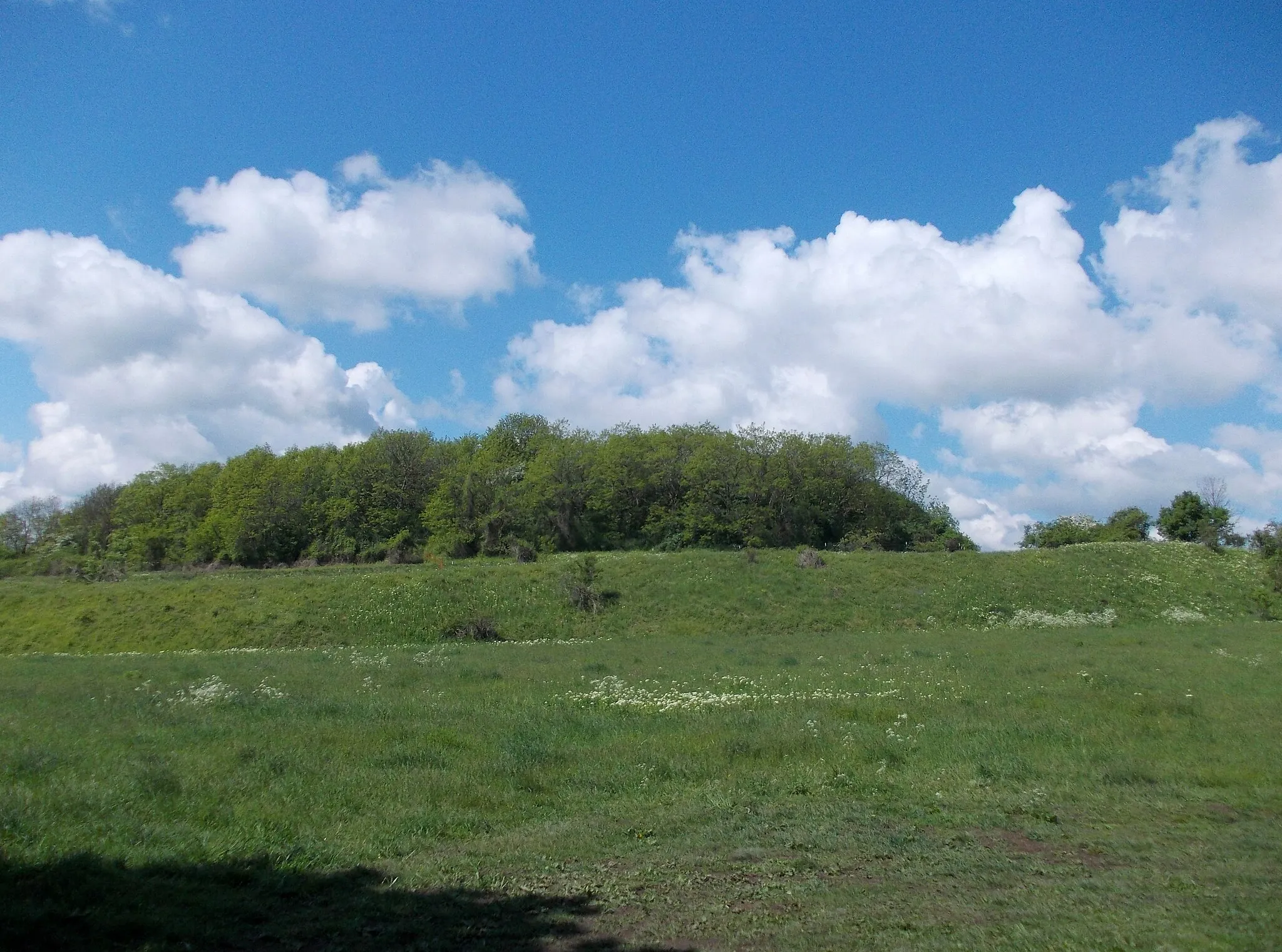 Photo showing: Burgberg (castle hill) in Rothenburg (Wettin-Löbejün, district: Saalekreis, Saxony-Anhalt), part of the nature reserve Saale gap near Rothenburg and place of a former slavic castle, Sputinesburg