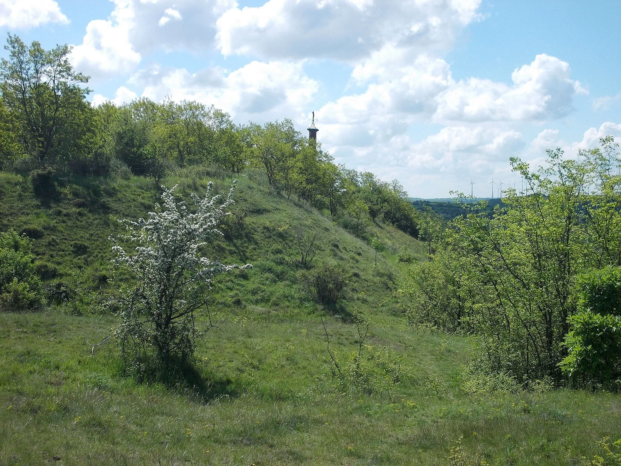 Photo showing: Burgberg (castle hill) in Rothenburg (Wettin-Löbejün, district: Saalekreis, Saxony-Anhalt), part of the nature reserve Saale gap near Rothenburg and place of a former slavic castle, Sputinesburg