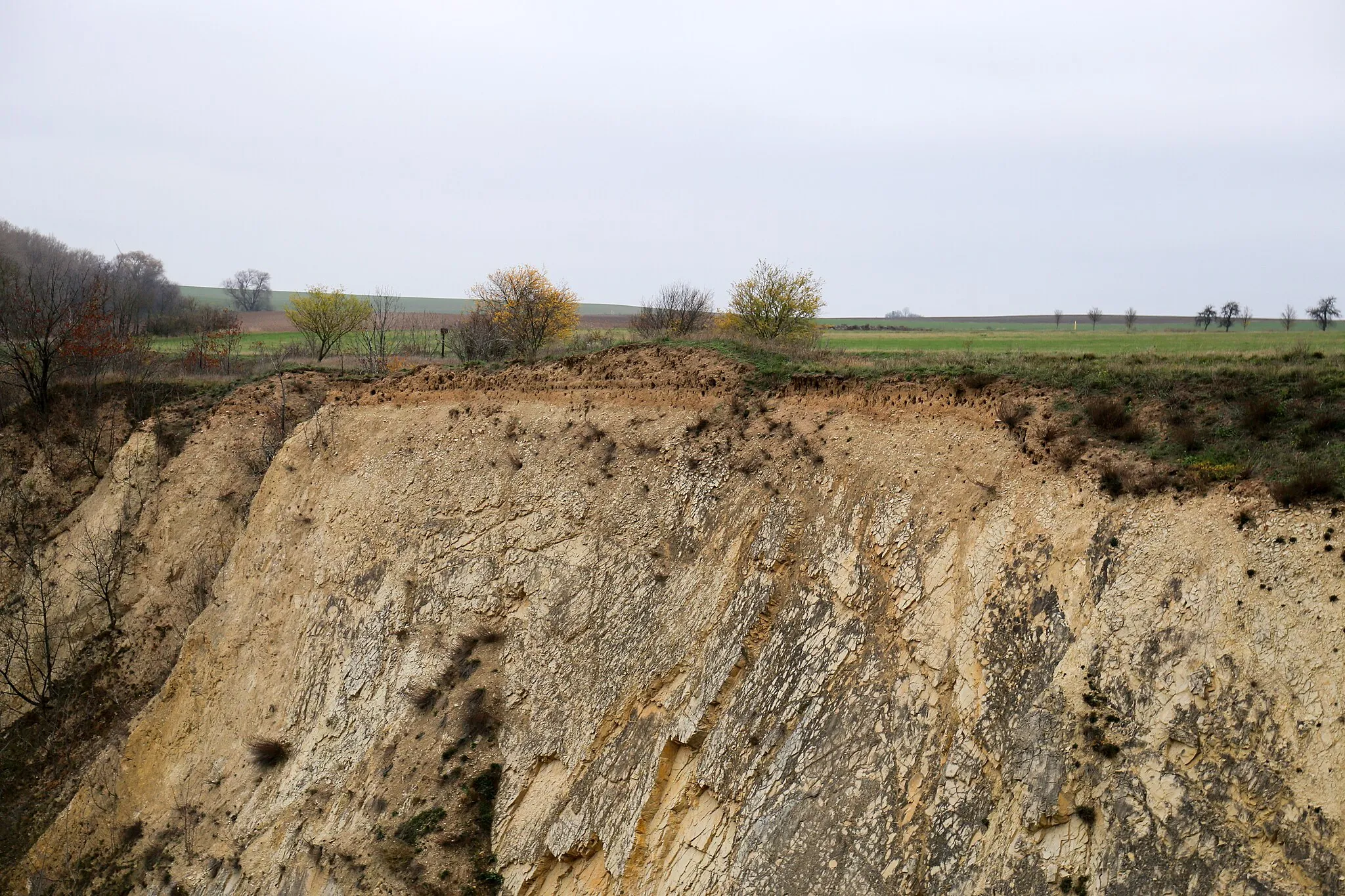 Photo showing: Der Schießberg ist ein Naturschutzgebiet in der Stadt Arnstein im Landkreis Mansfeld-Südharz in Sachsen-Anhalt.