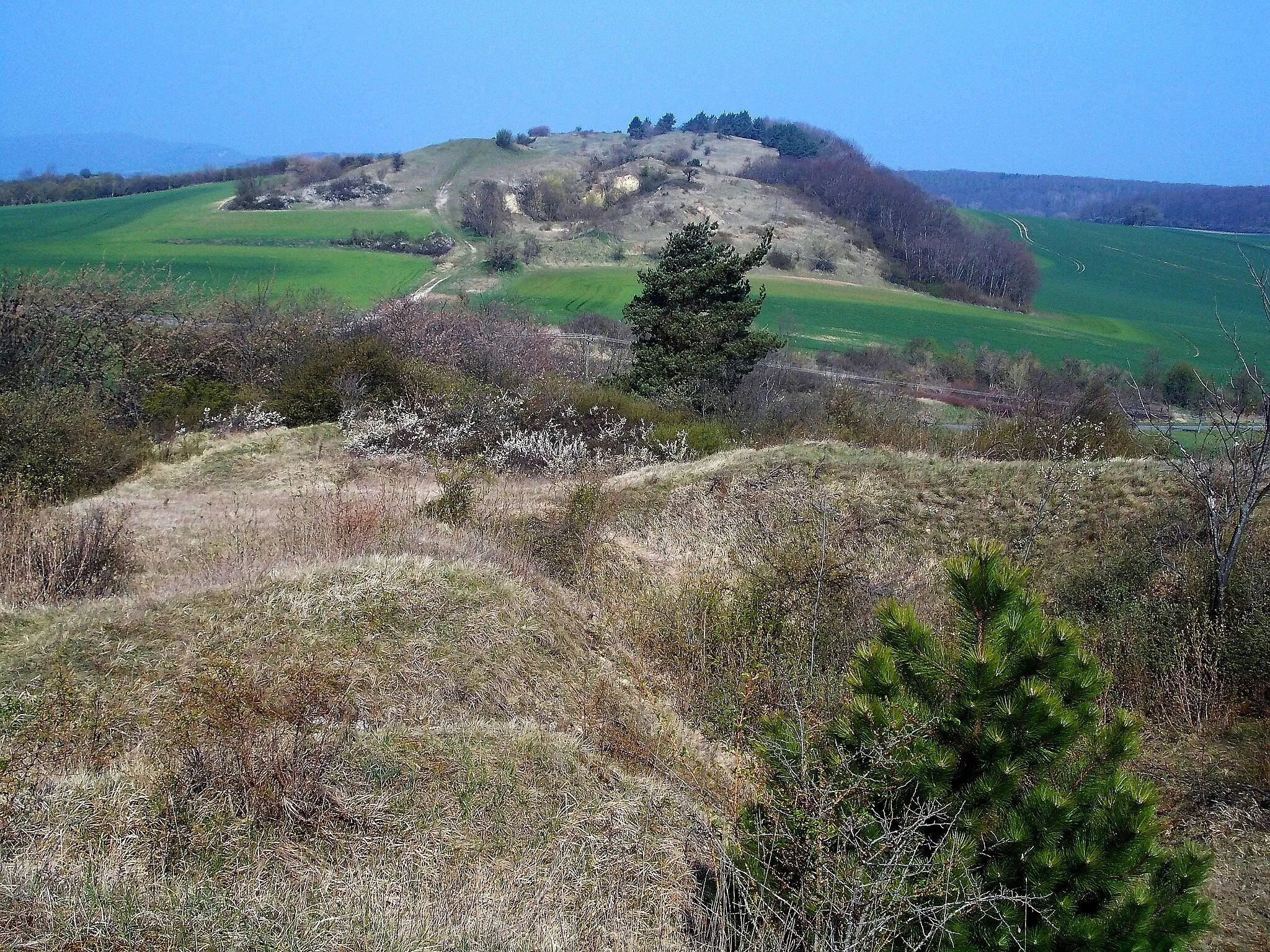 Photo showing: Frühlingsrundwanderung Schmücke bei  Heldrungen - Muschelkalk