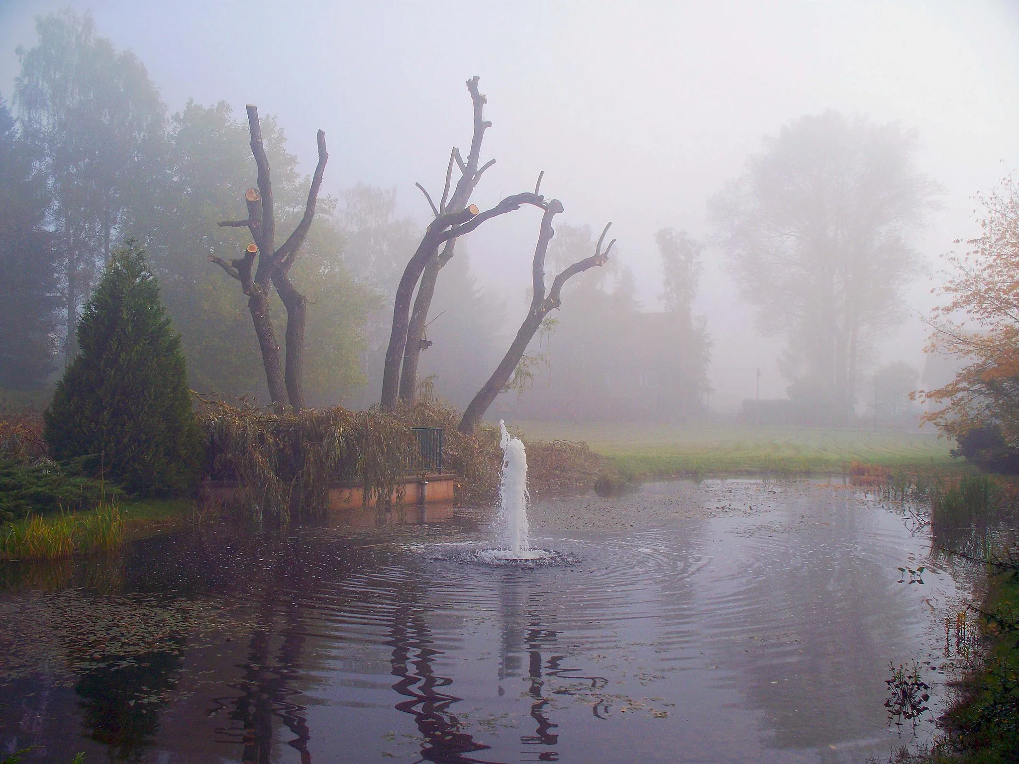 Photo showing: Kurpark Bad Klosterlausnitz