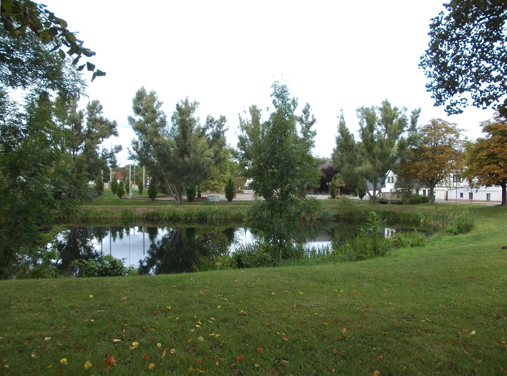 Photo showing: Kleiner Mühlteich pond in Schkopau (district: Saalekreis, Saxony-Anhalt)