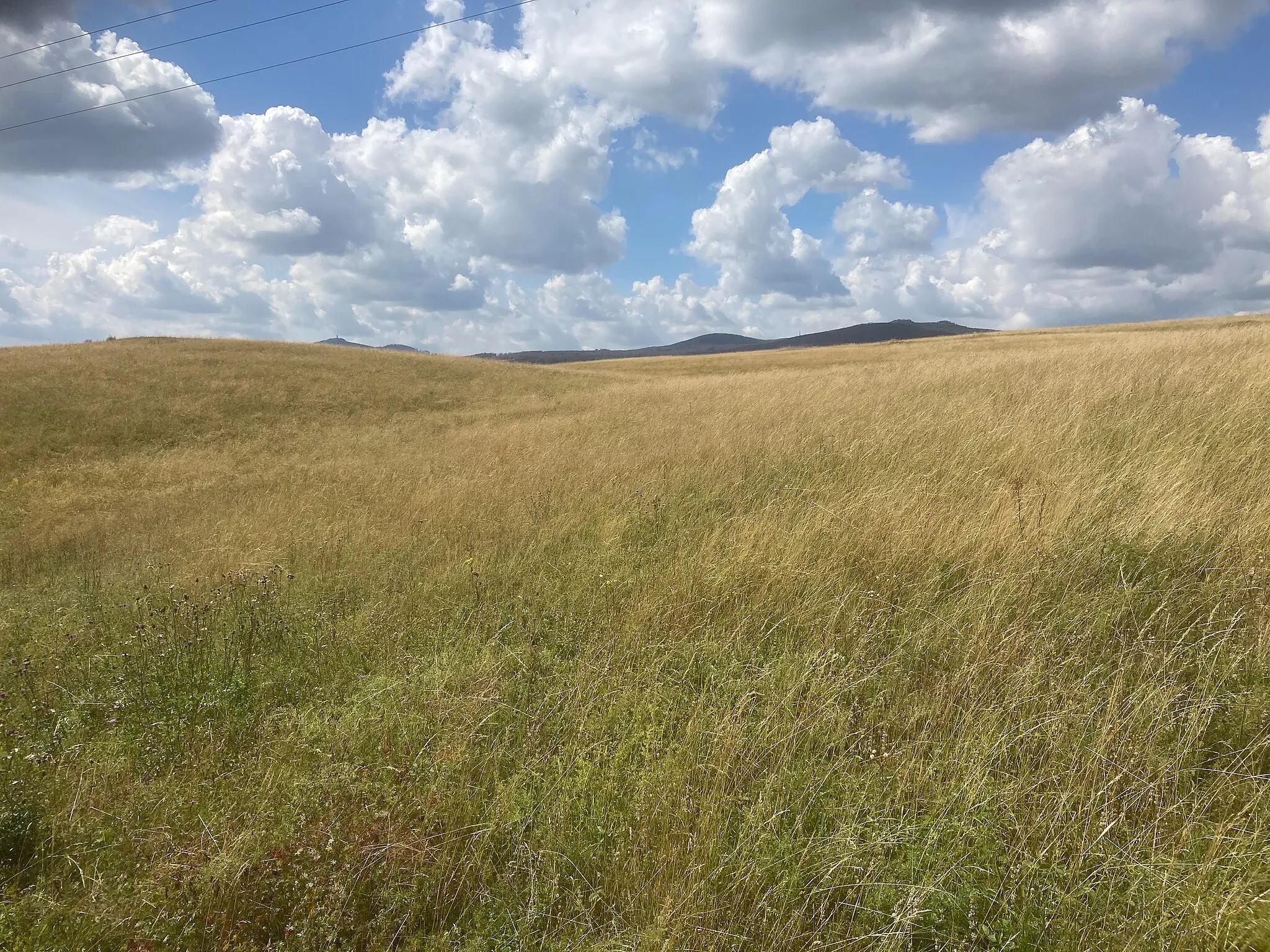 Photo showing: Oberharz harz