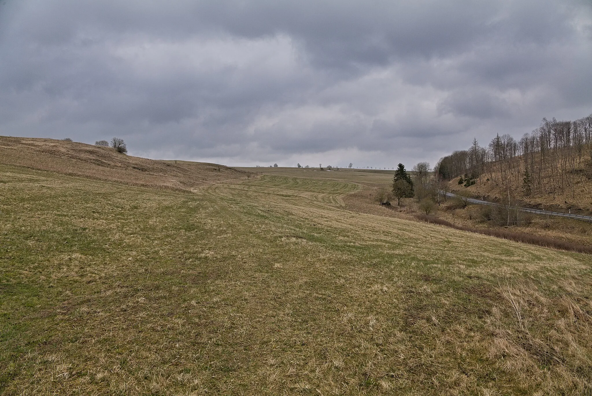 Photo showing: Nature reserve Bockberg in the Harz.