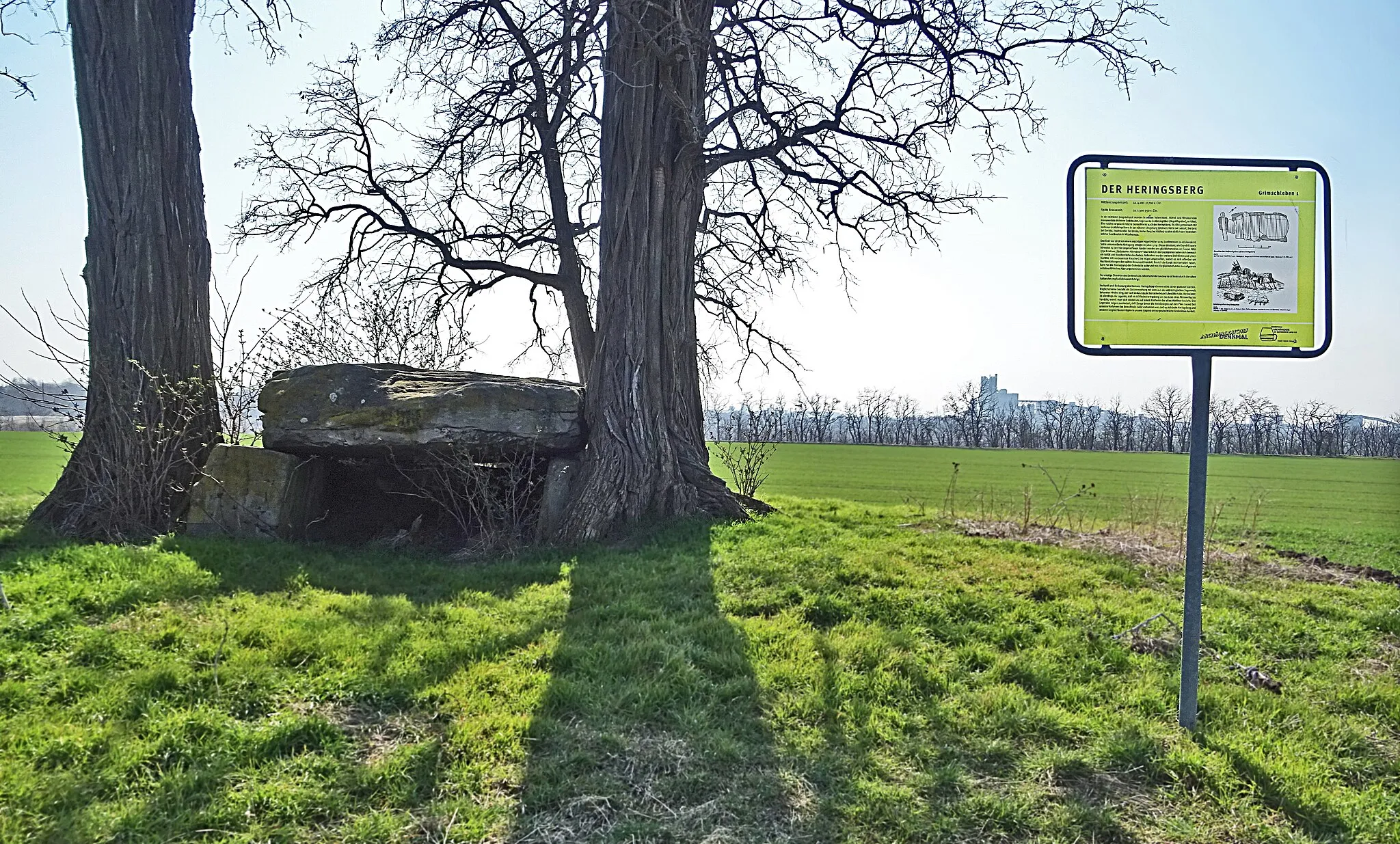 Photo showing: Großsteingrab Heringsberg aus der mittleren Jungsteinzeit bei Latdorf