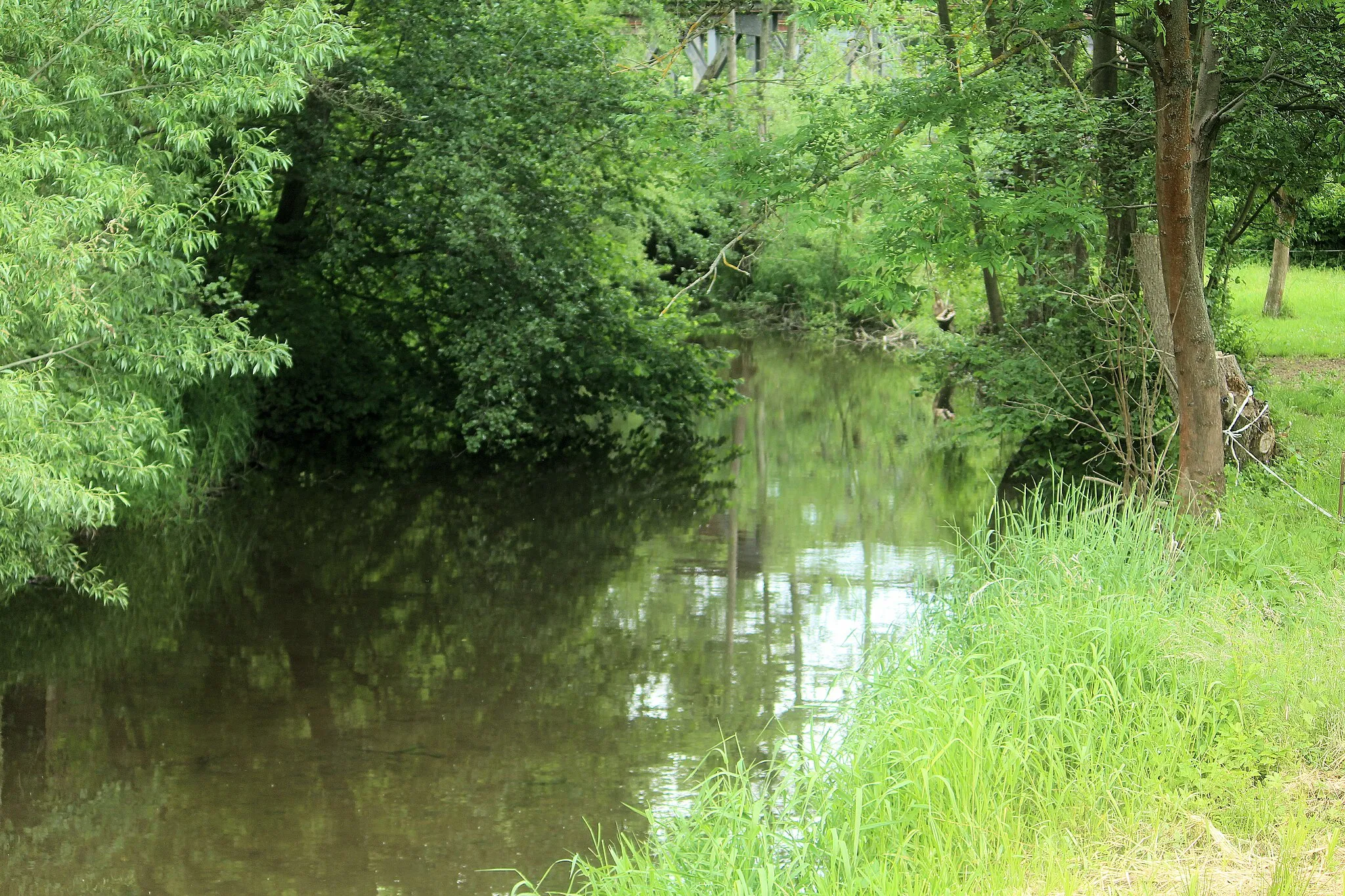 Photo showing: Biesenrode (Mansfeld), the Wipper river