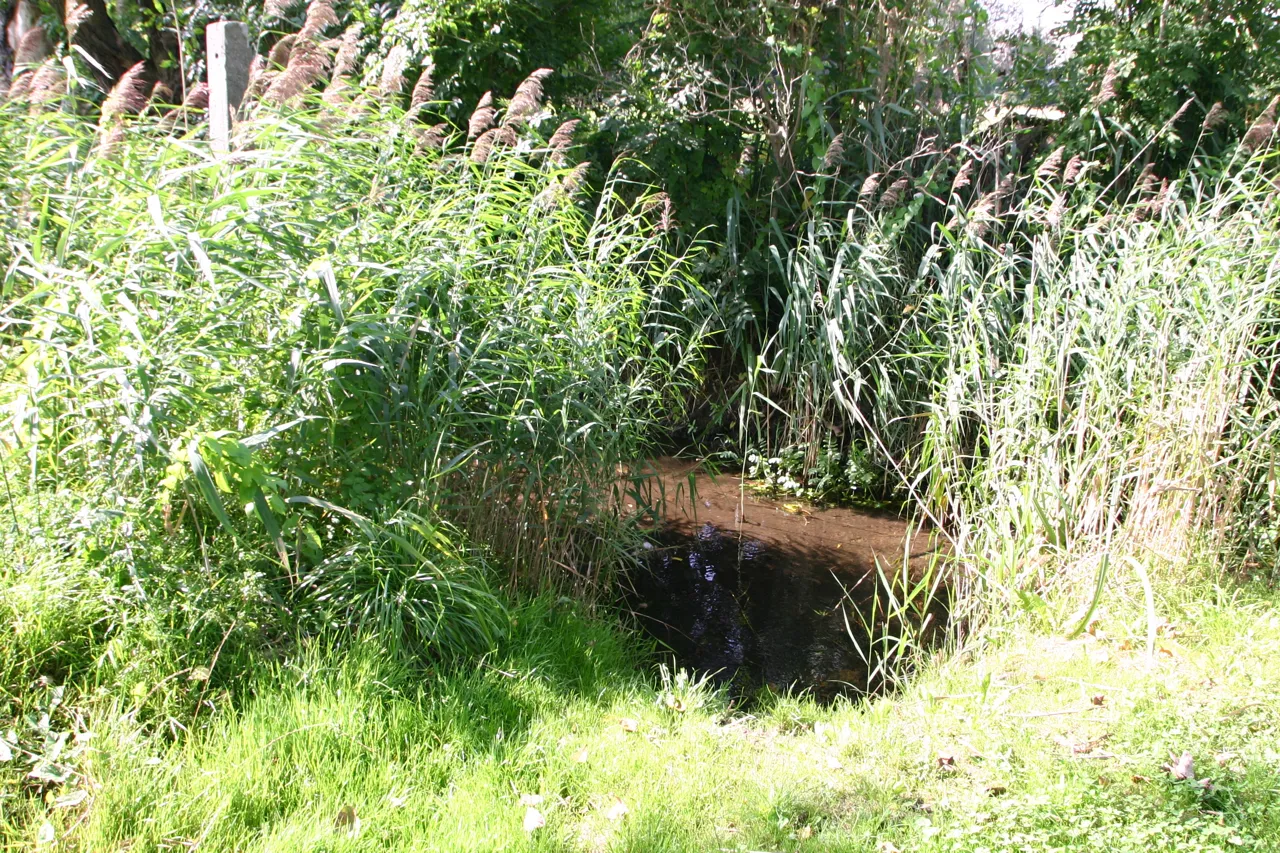 Photo showing: Die Ziethe ist ein Fluss im Landkreis Anhalt-Bitterfeld.
