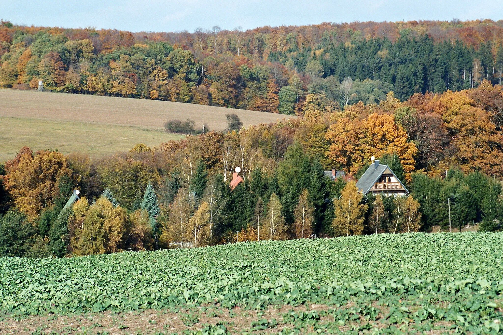 Photo showing: Horla (Sangerhausen), view to the valley of the Horle brook