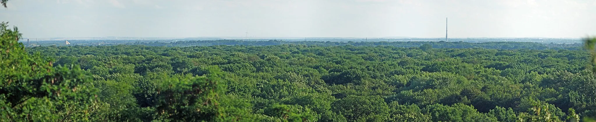 Photo showing: Leipziger Auwald, vom Fockeberg aus aufgenommen, Blick Richtung SW, links ist die Bistumshoehe und Belantis, rechts die Esse des Stahl- und Hartgusswerkes Bösdorf; 4x1 panorama