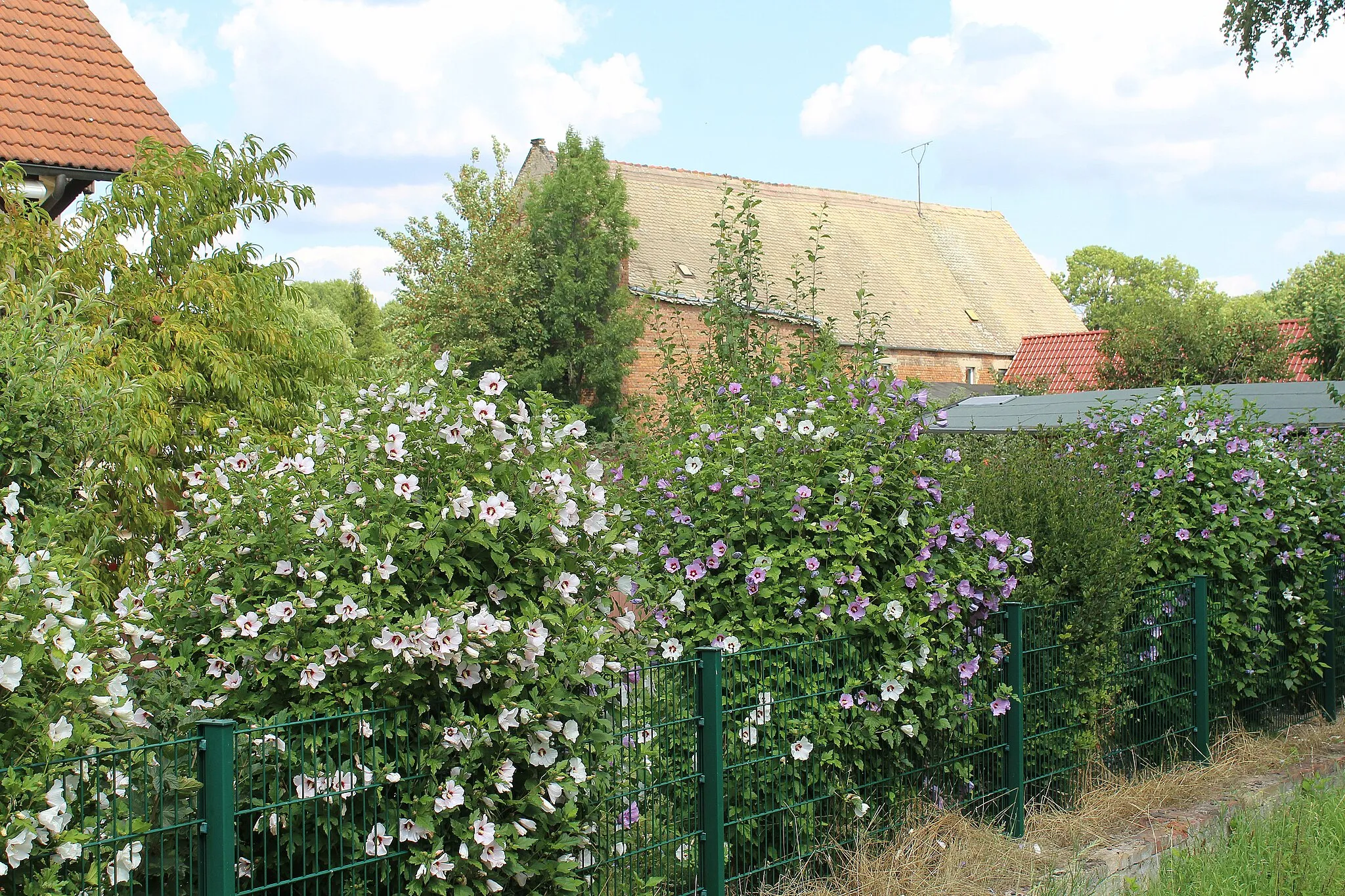 Photo showing: Schortau (Braunsbedra), on the Backhausgasse